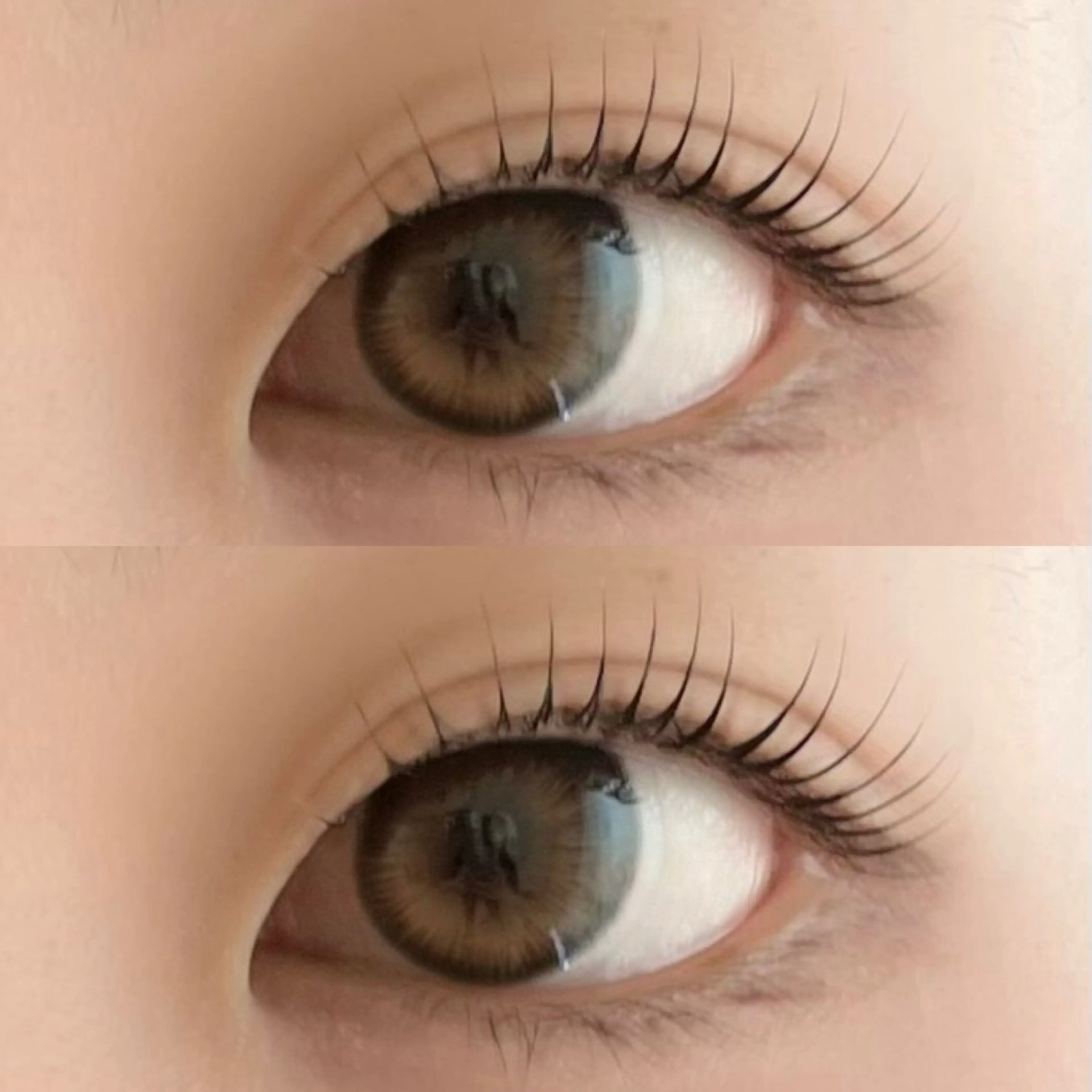 【オフなし】まつ毛パーマ/パリジェンヌ 美容液コーティング仕上げ 6600円→3980円の写真