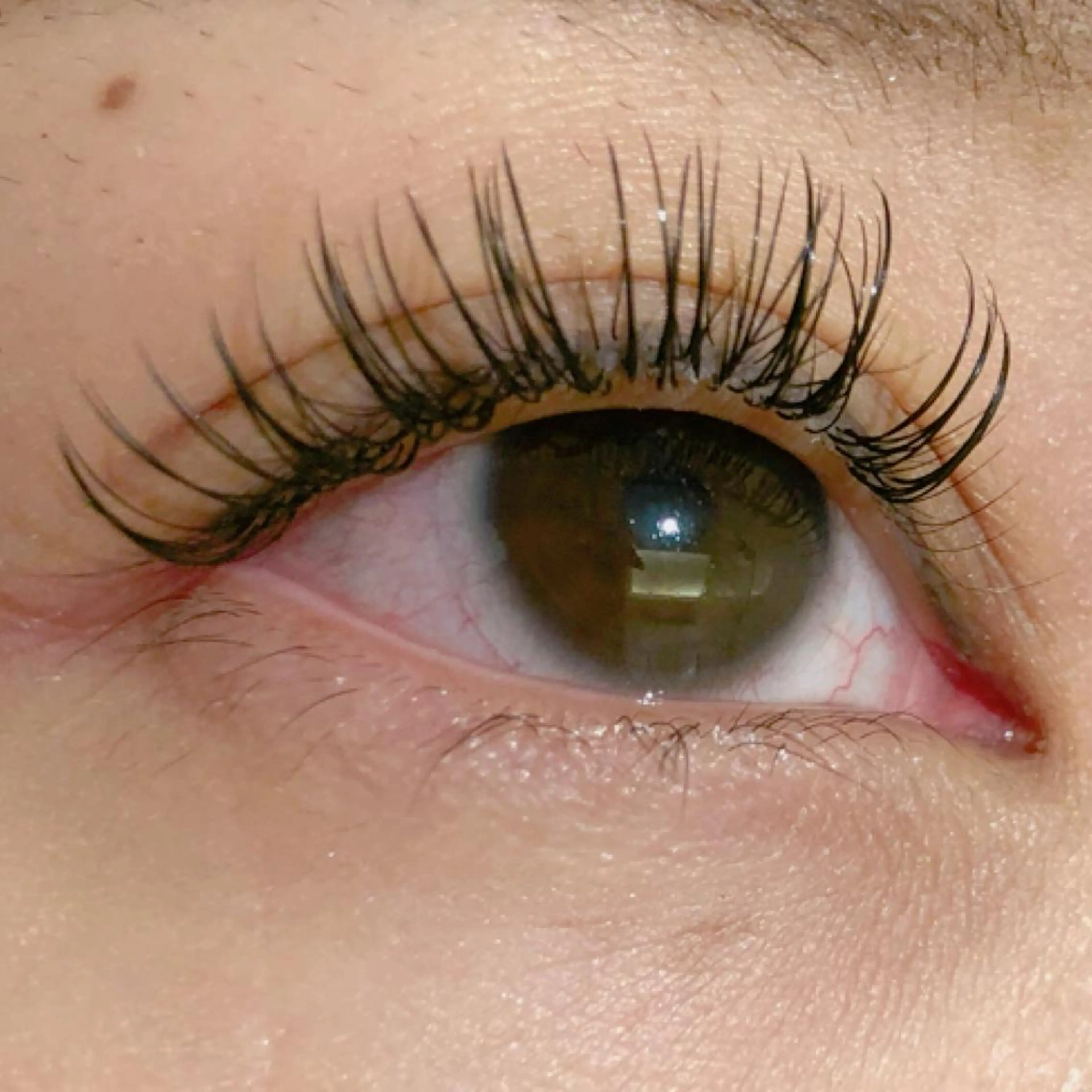 マツエク・マツパ eyelist マツエク🐣のマツエク・マツパデザイン