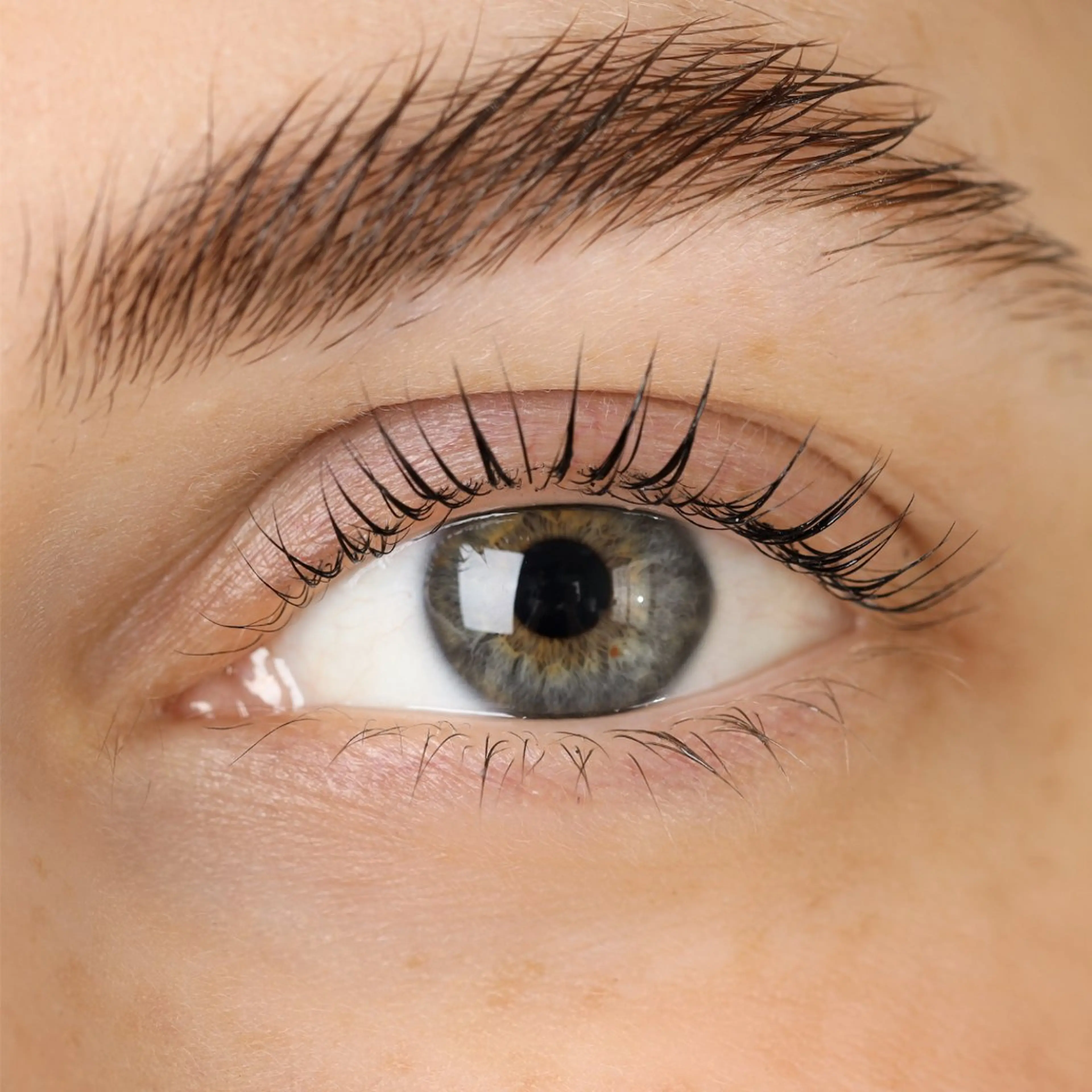 【ご新規様限定】パリジェンヌラッシュリフト¥5,600の写真