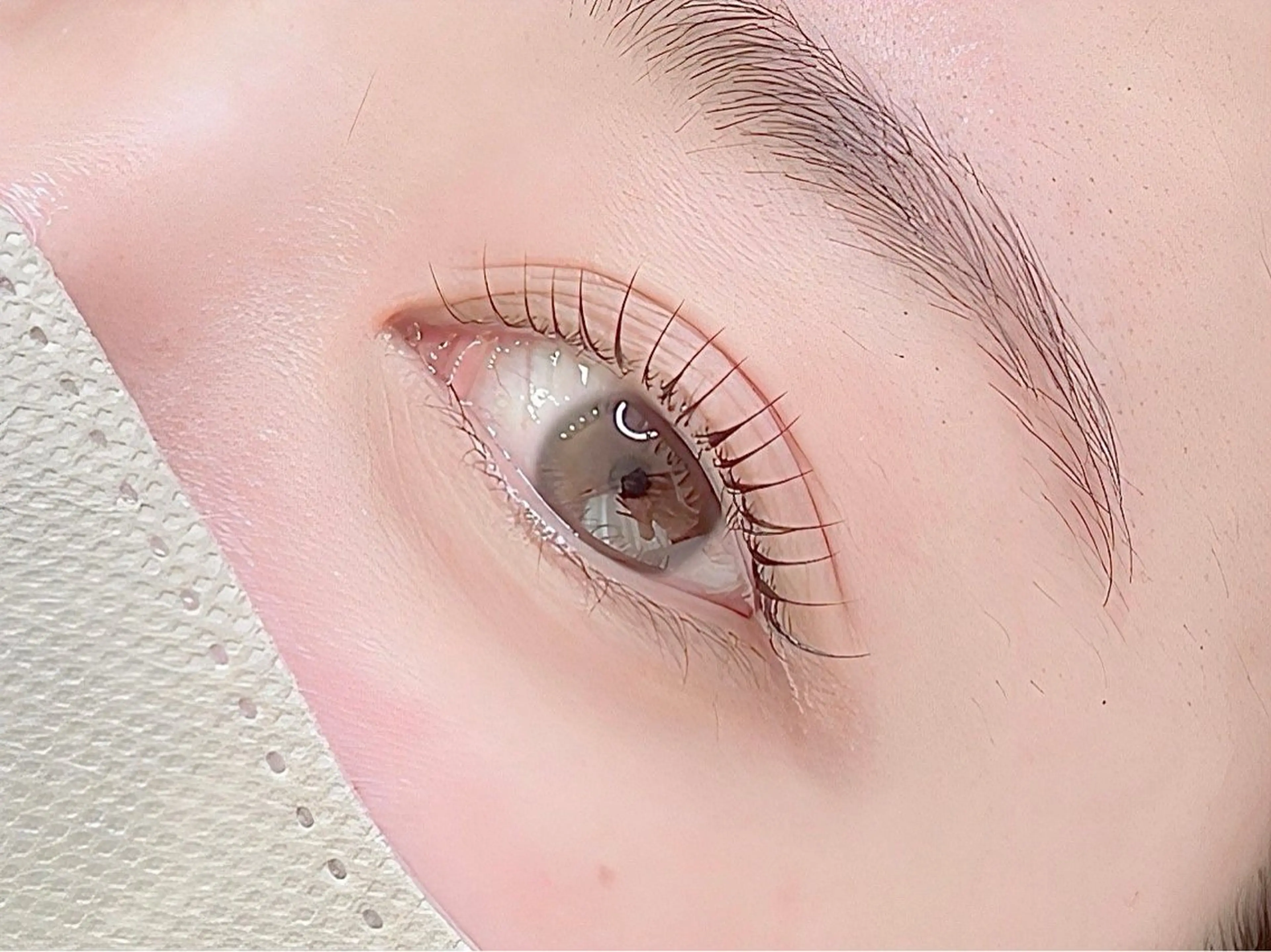 【セットでお得⭐️】🌺美眉WAXアイブロウ＋韓国式まつ毛パーマorパリジェンヌ🌺✨の写真