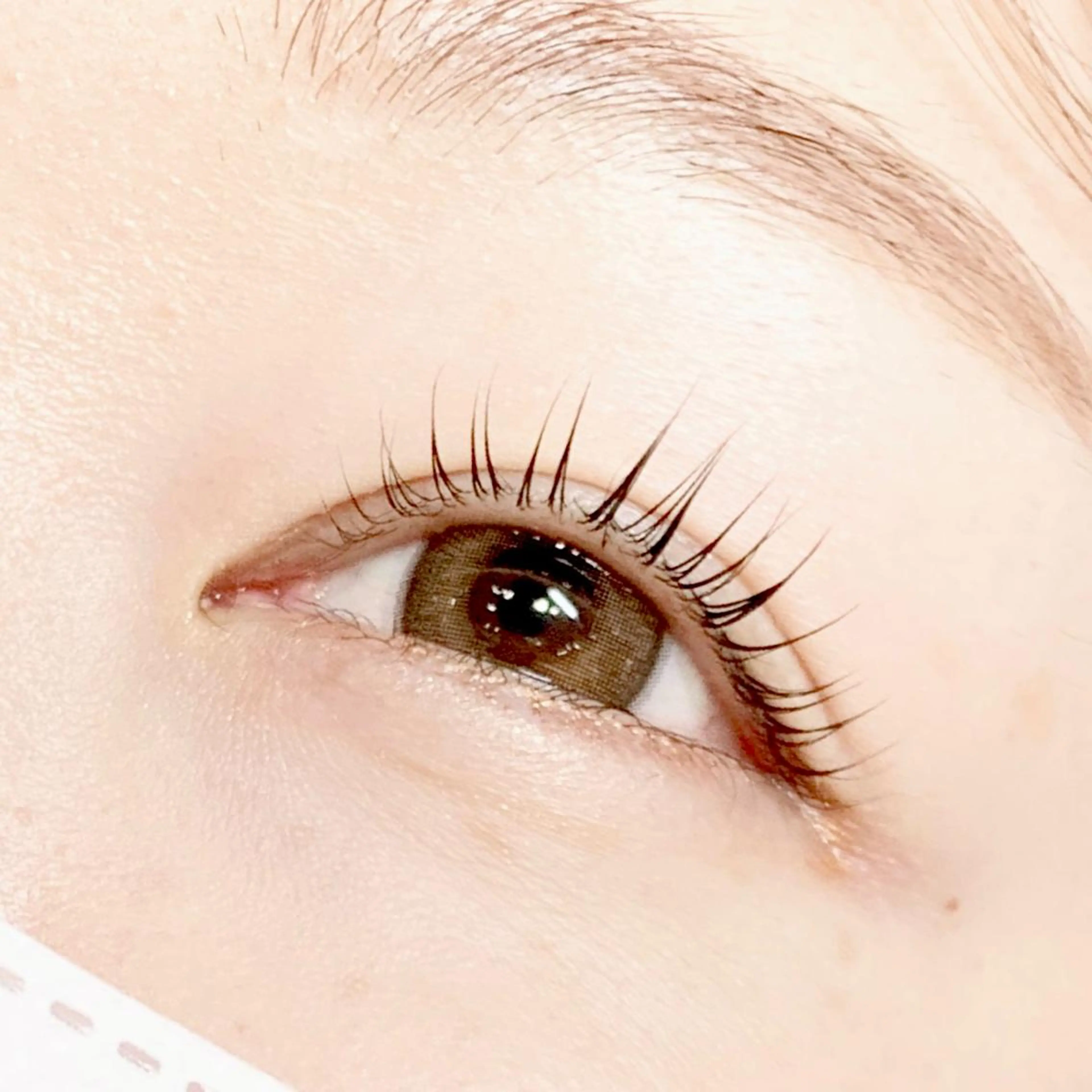 マツエク・マツパ マツパ Fukushi／ 自由が丘quint;のマツエク・マツパデザイン