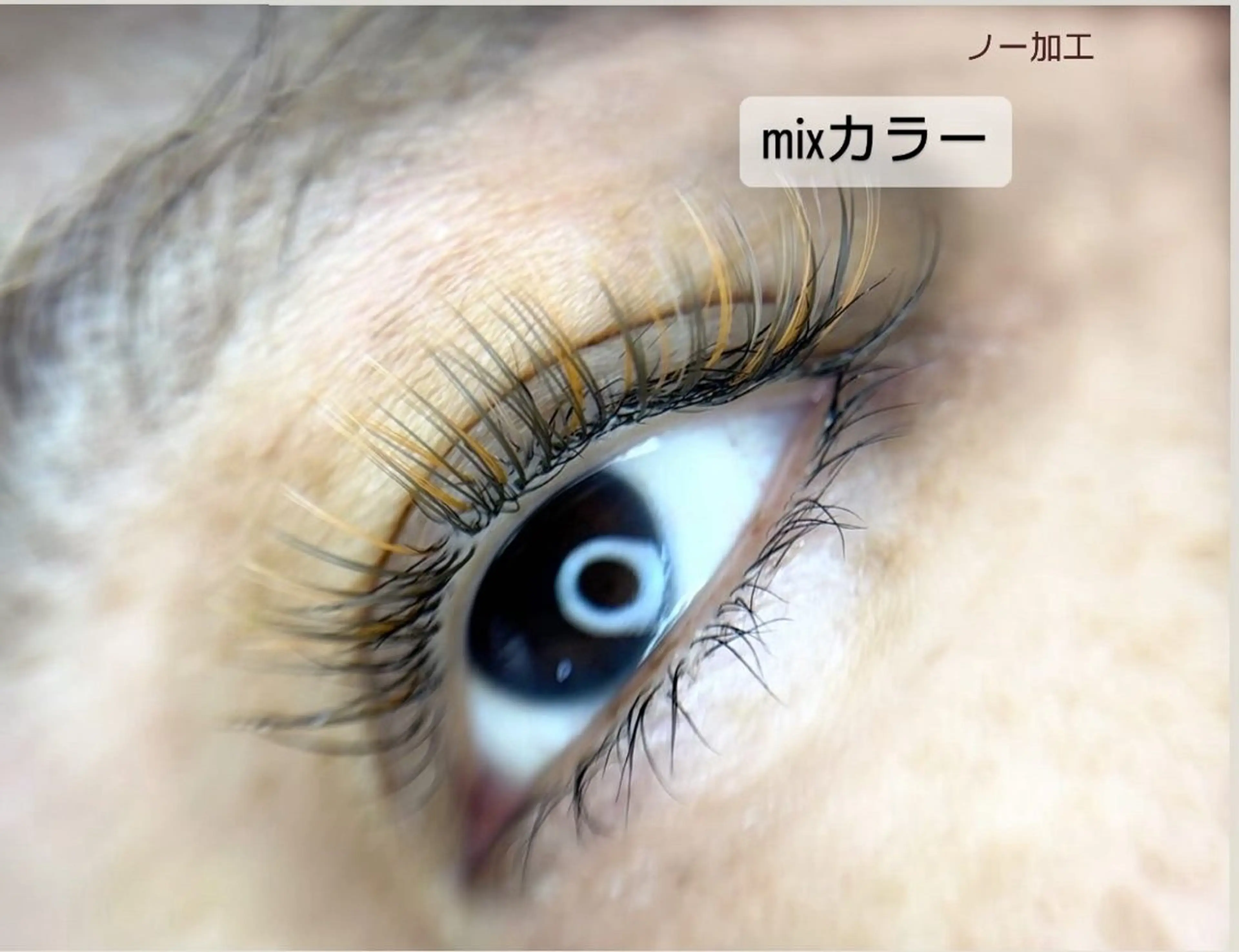 マツエク・マツパ ラグラス所属・yamawaki erinaのマツエク・マツパデザイン