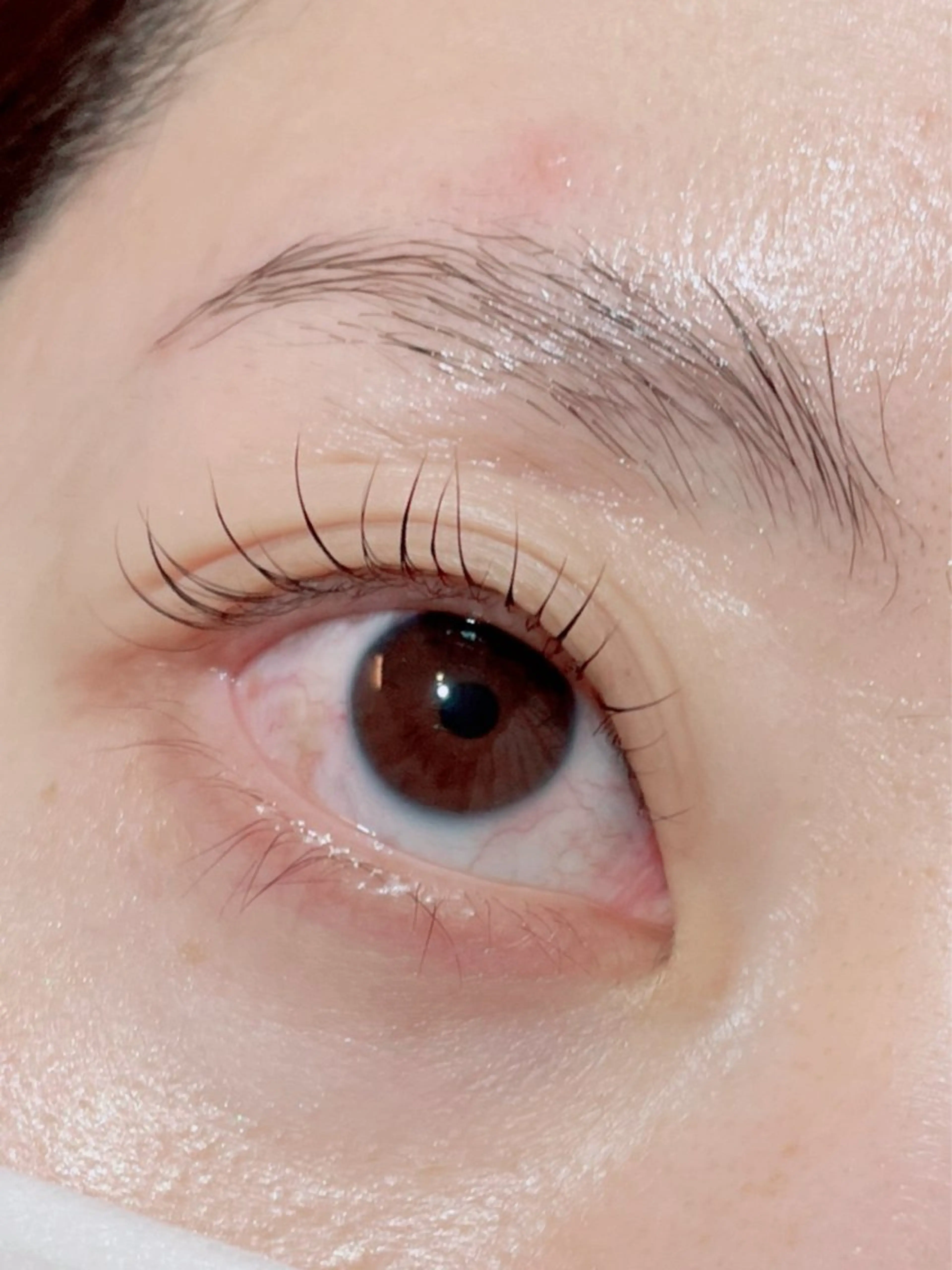 マツエク・マツパ Anjir(アンジール)所属・完全個室サロン Anjirのエステ・リラクイメージ