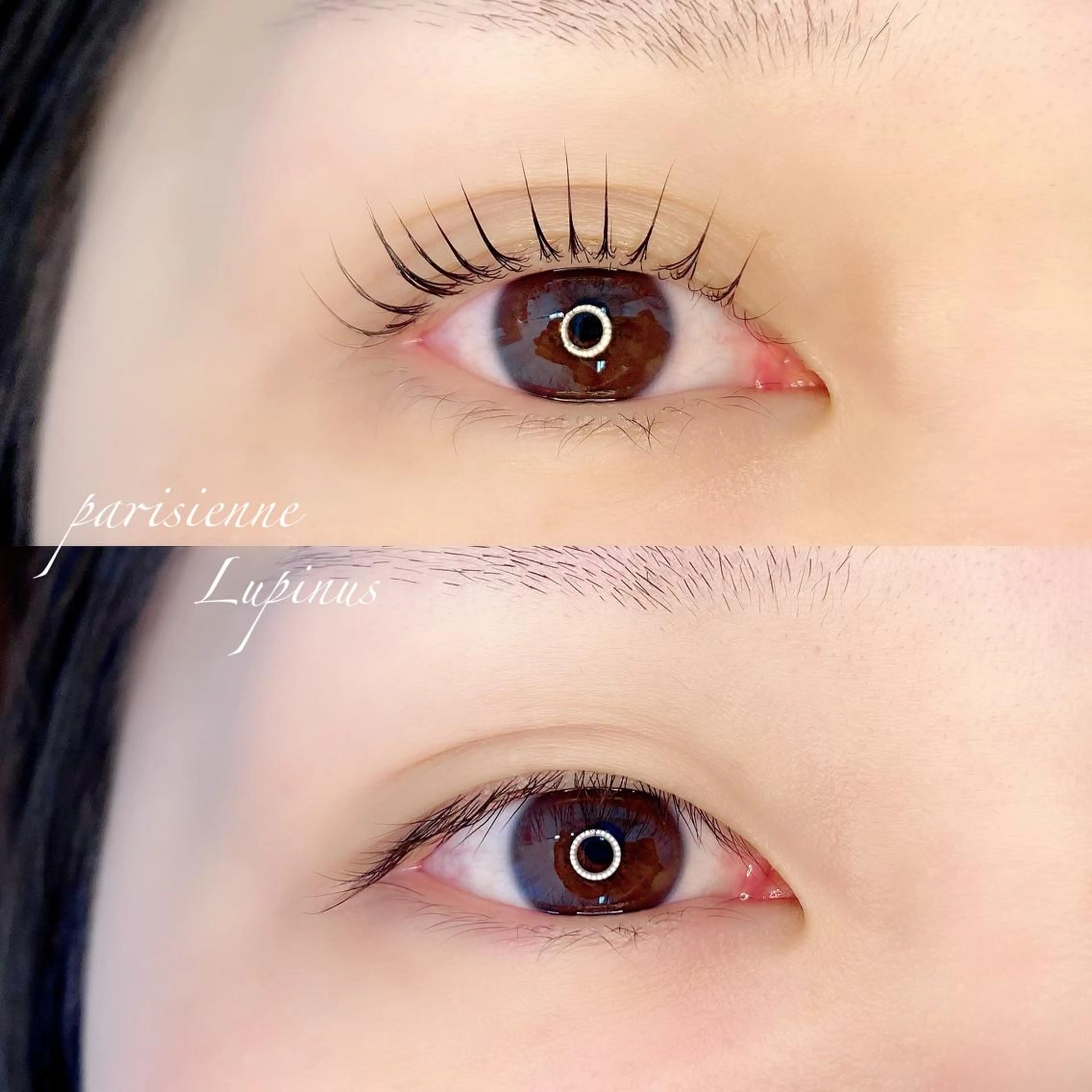 マツエク・マツパ パリジェンヌラッシュリフト LAND【ランド】 小鹿のマツエク・マツパデザイン