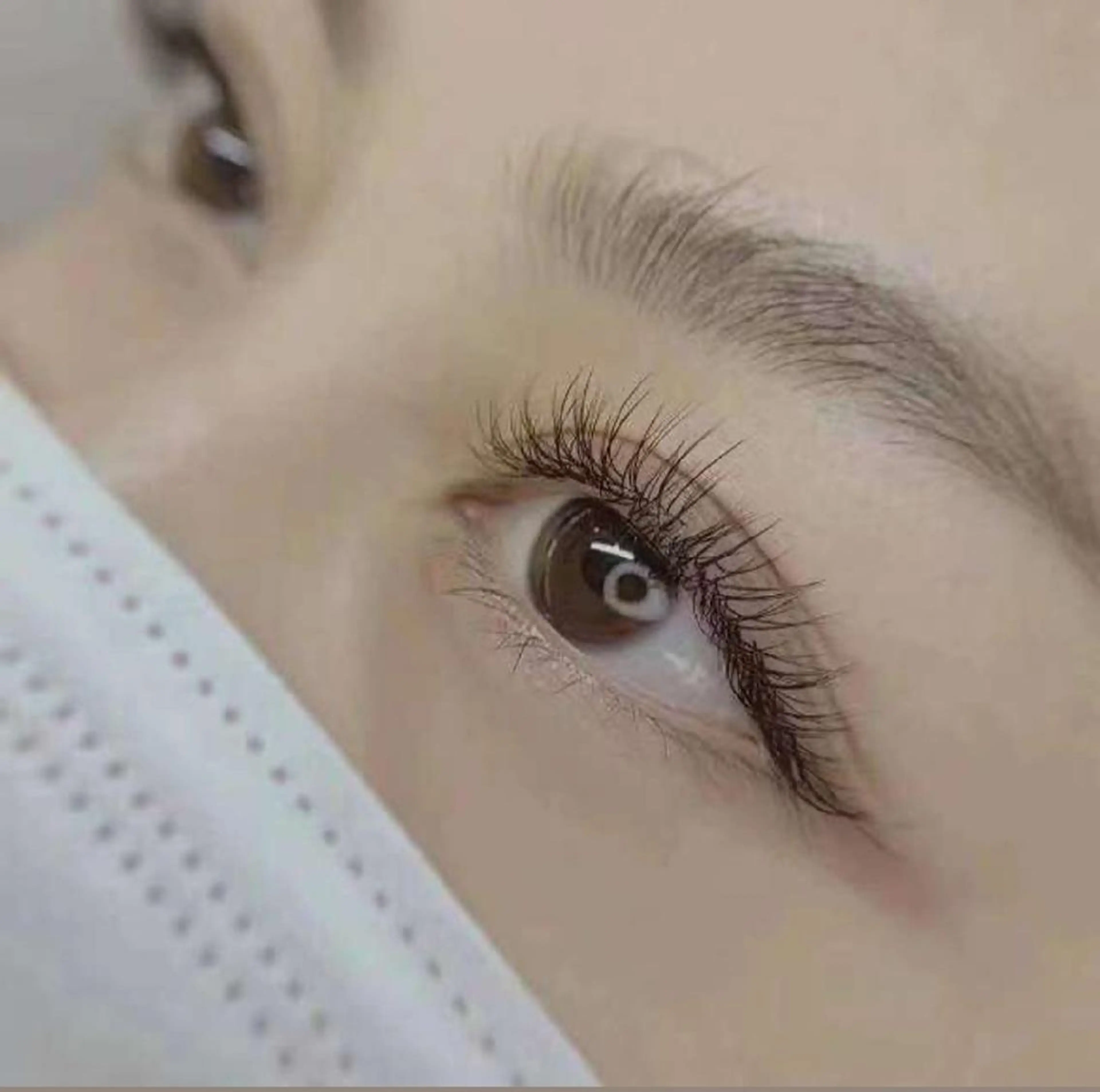 オフ無料★高級プラチナセーブル両目140本（上）の写真