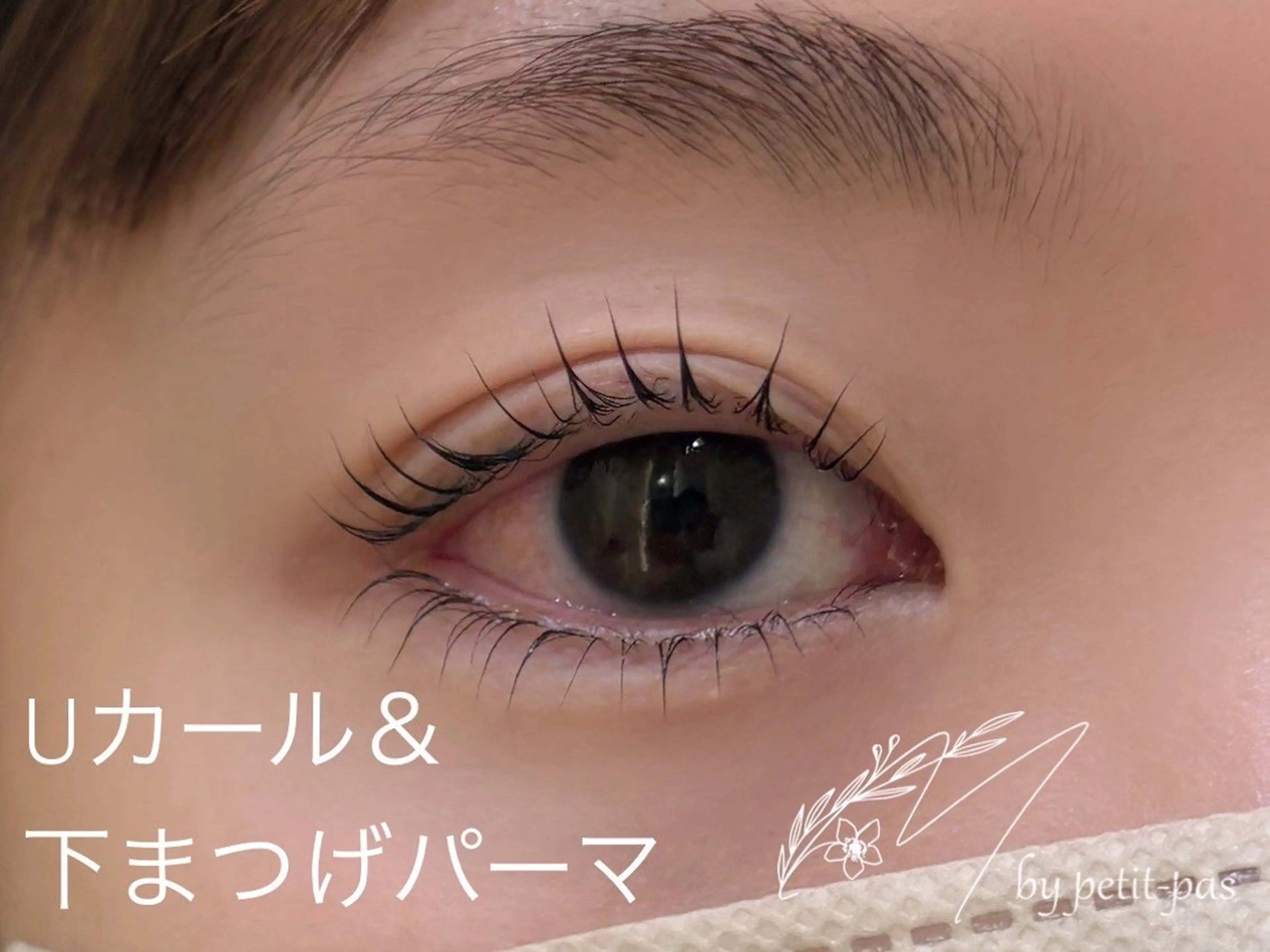 マツエク・マツパ M by petit-pas さくら通り店【まつ毛パーマ・眉毛・マツエク】所属・平山 美来のマツエク・マツパデザイン