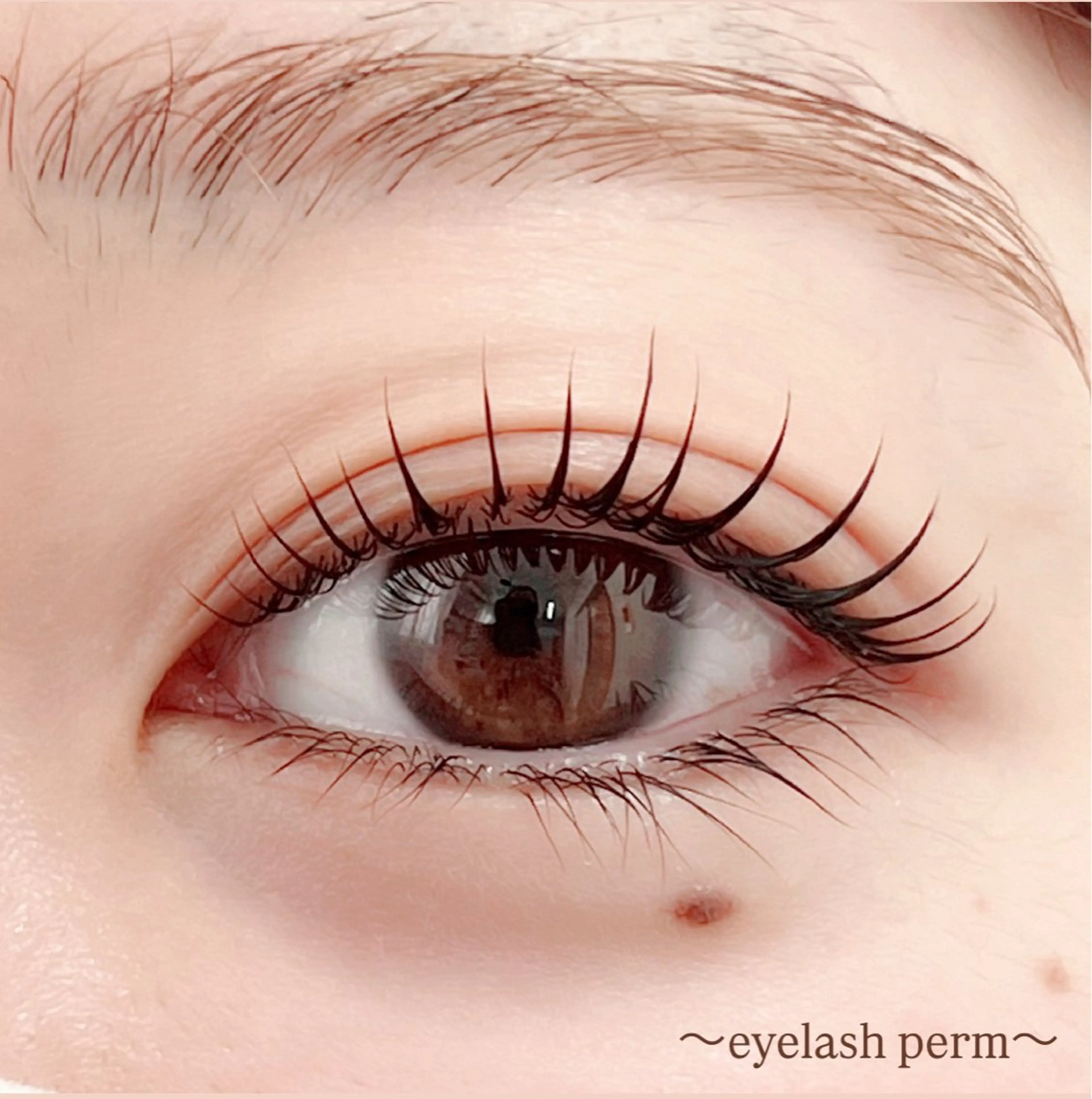 マツエク・マツパ 田村 莉子のマツエク・マツパデザイン