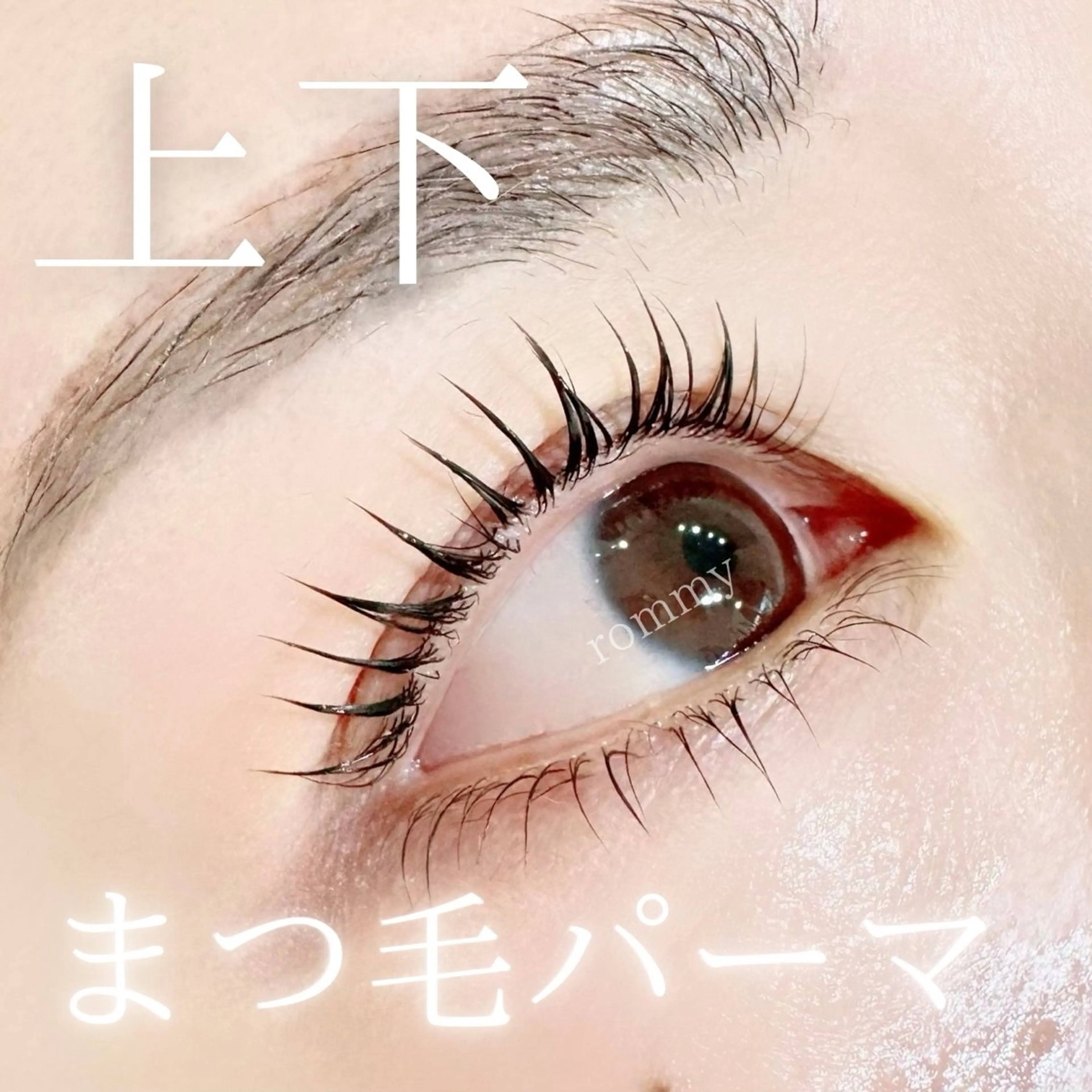 マツエク・マツパ 下まつげエクステ 一重×まつ毛パーマ ロミー アイラッシュ本厚木のマツエク・マツパデザイン