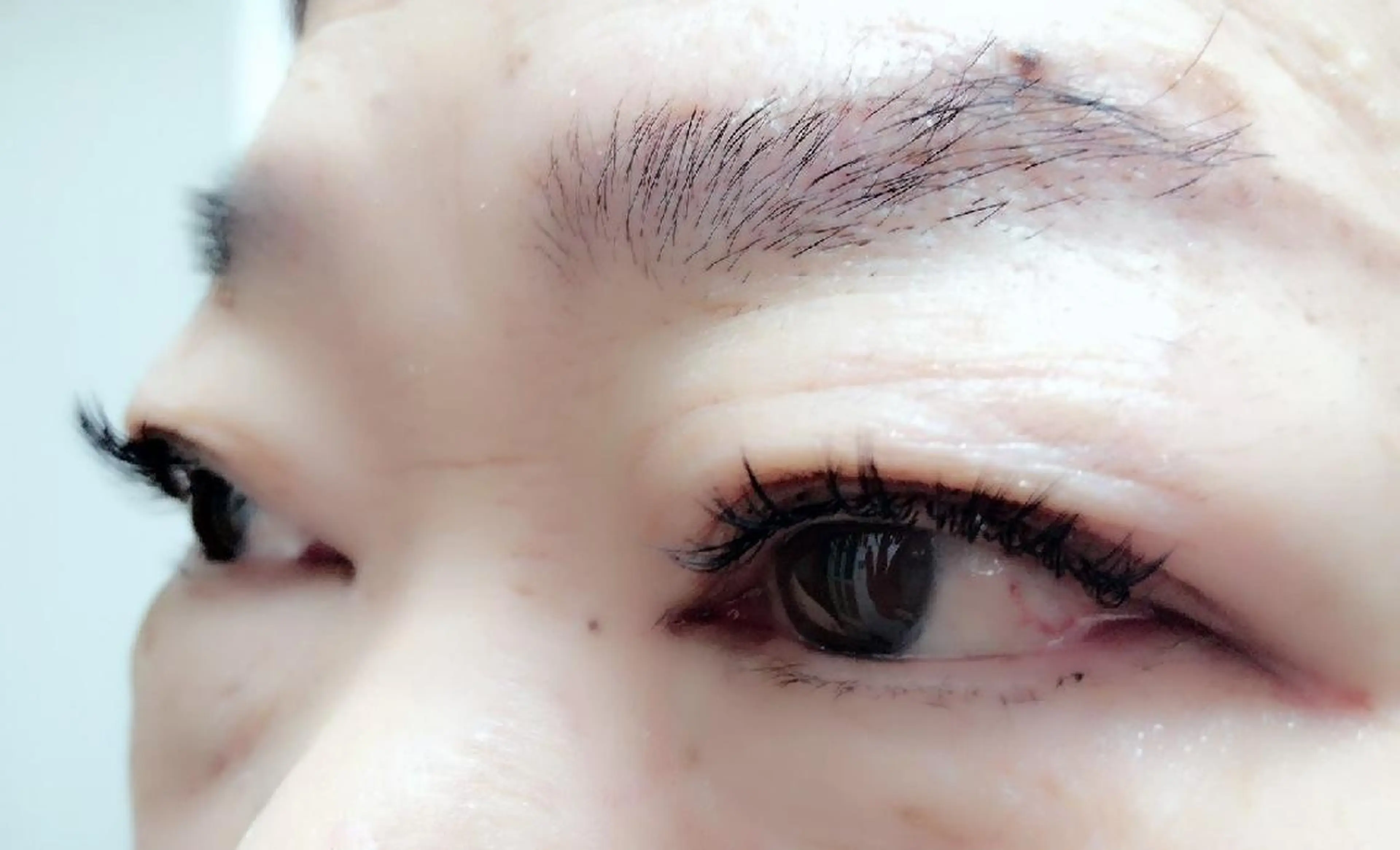 マツエク・マツパ 付け放題 キュート フラットラッシュ セーブル 下まつげエクステ 吉岡 ゆうなのマツエク・マツパデザイン