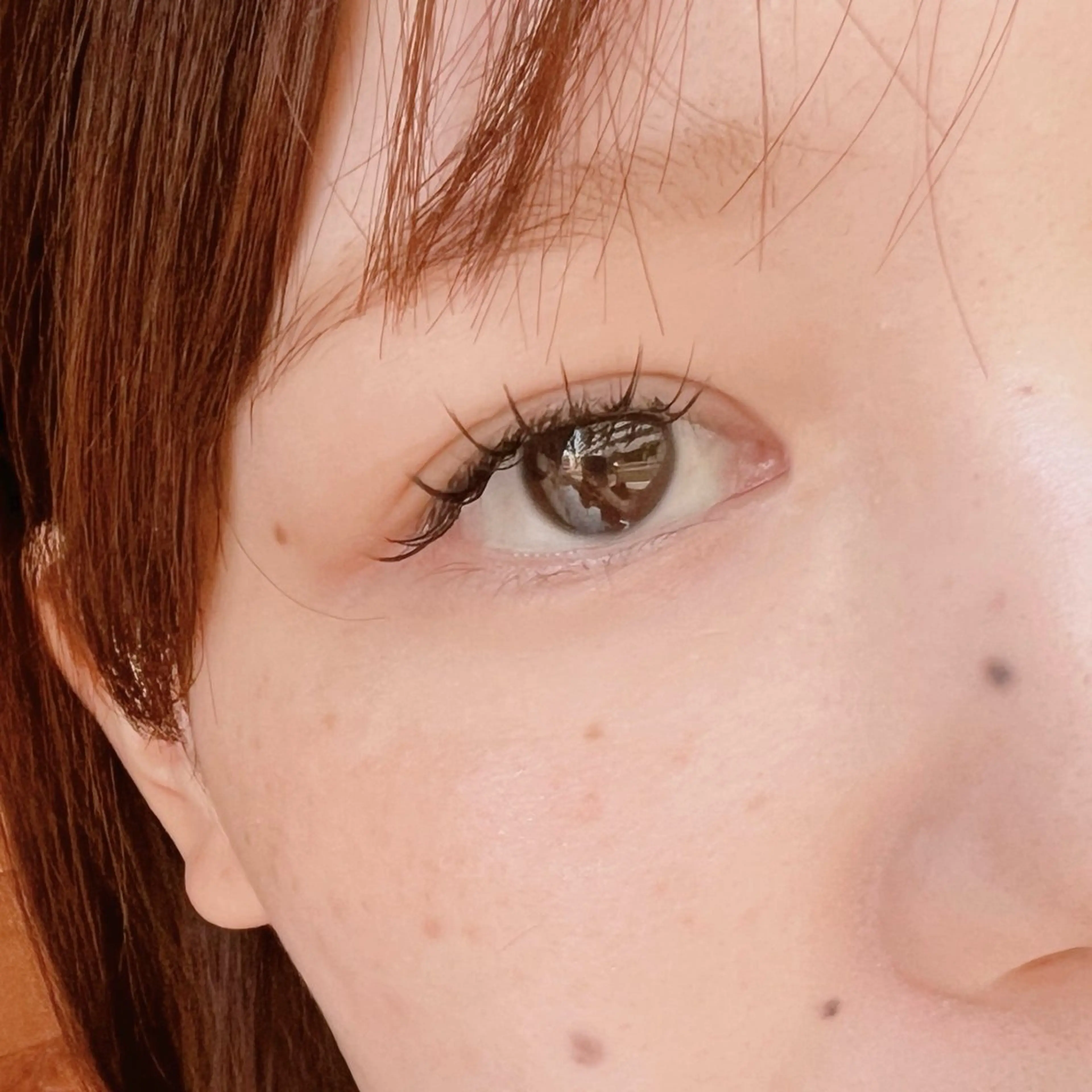 【ミニモ限定割引価格🍊】セーブル100本¥5500/フラットセーブル¥6100/付け替えオフ+¥550の写真