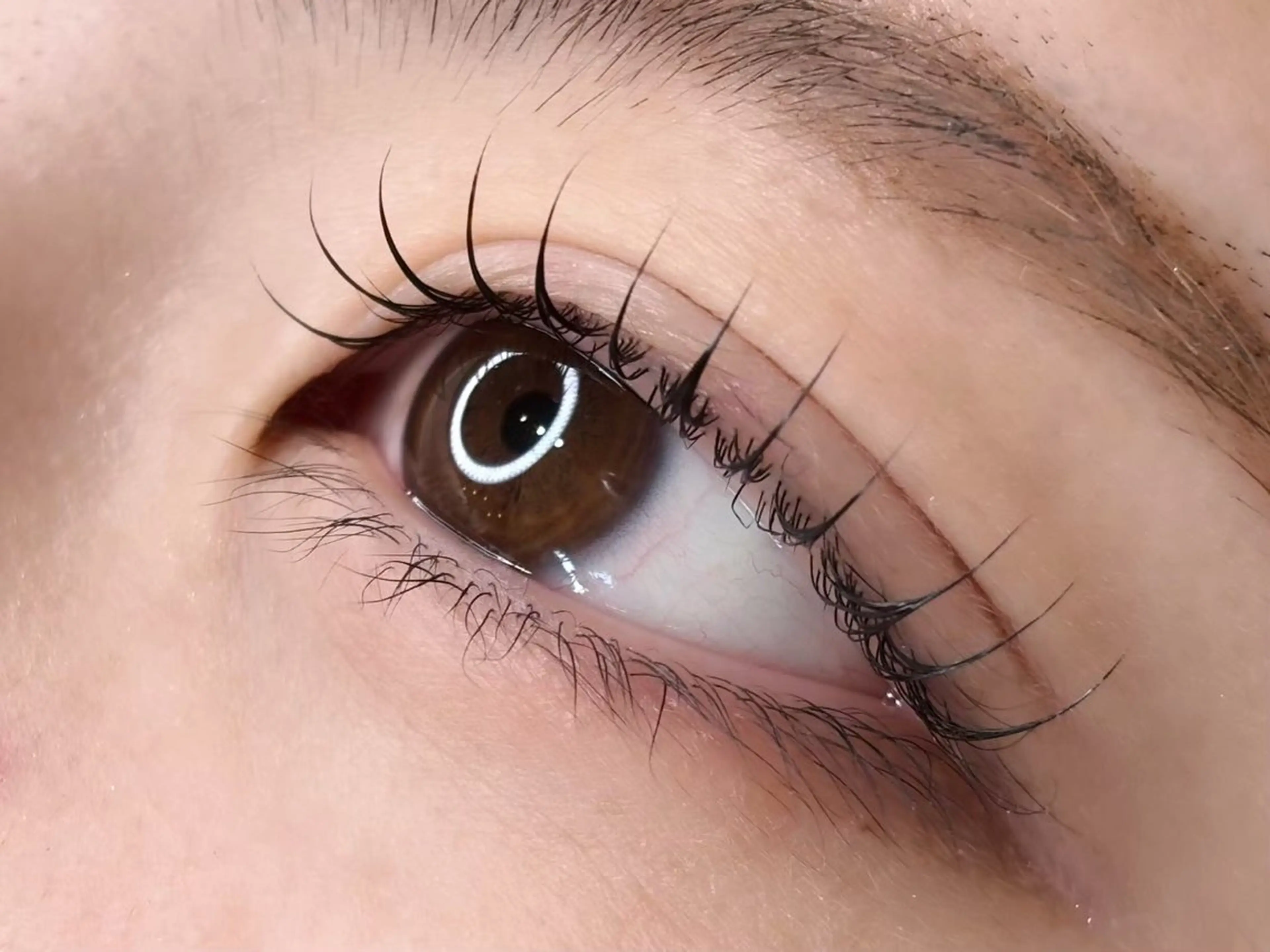 パリジェンヌラッシュリフト 上のみの写真