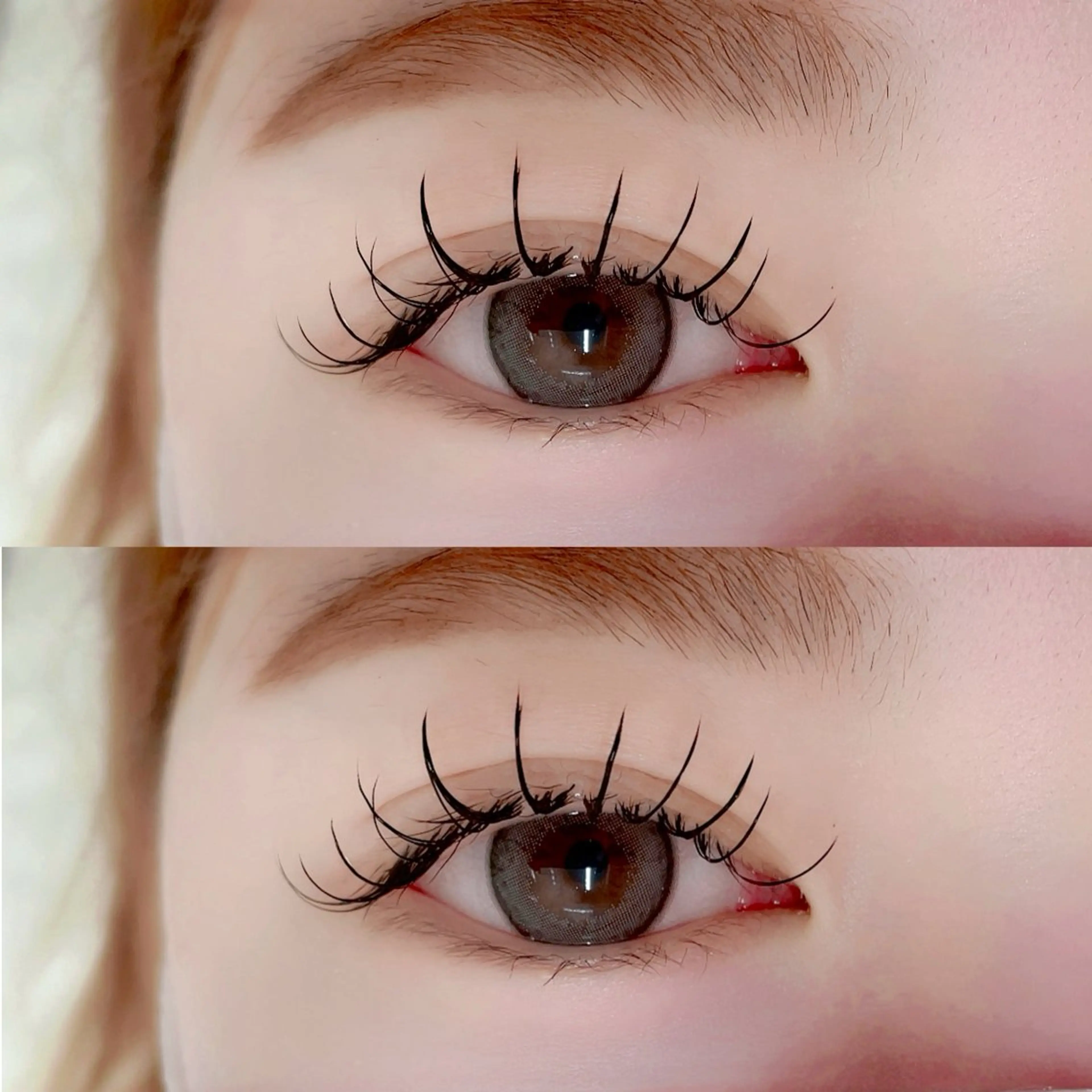 マツエク・マツパ 束感まつ毛 キュート Dカール フラットラッシュ Morganite 🦋 ÿui 🦋のマツエク・マツパデザイン