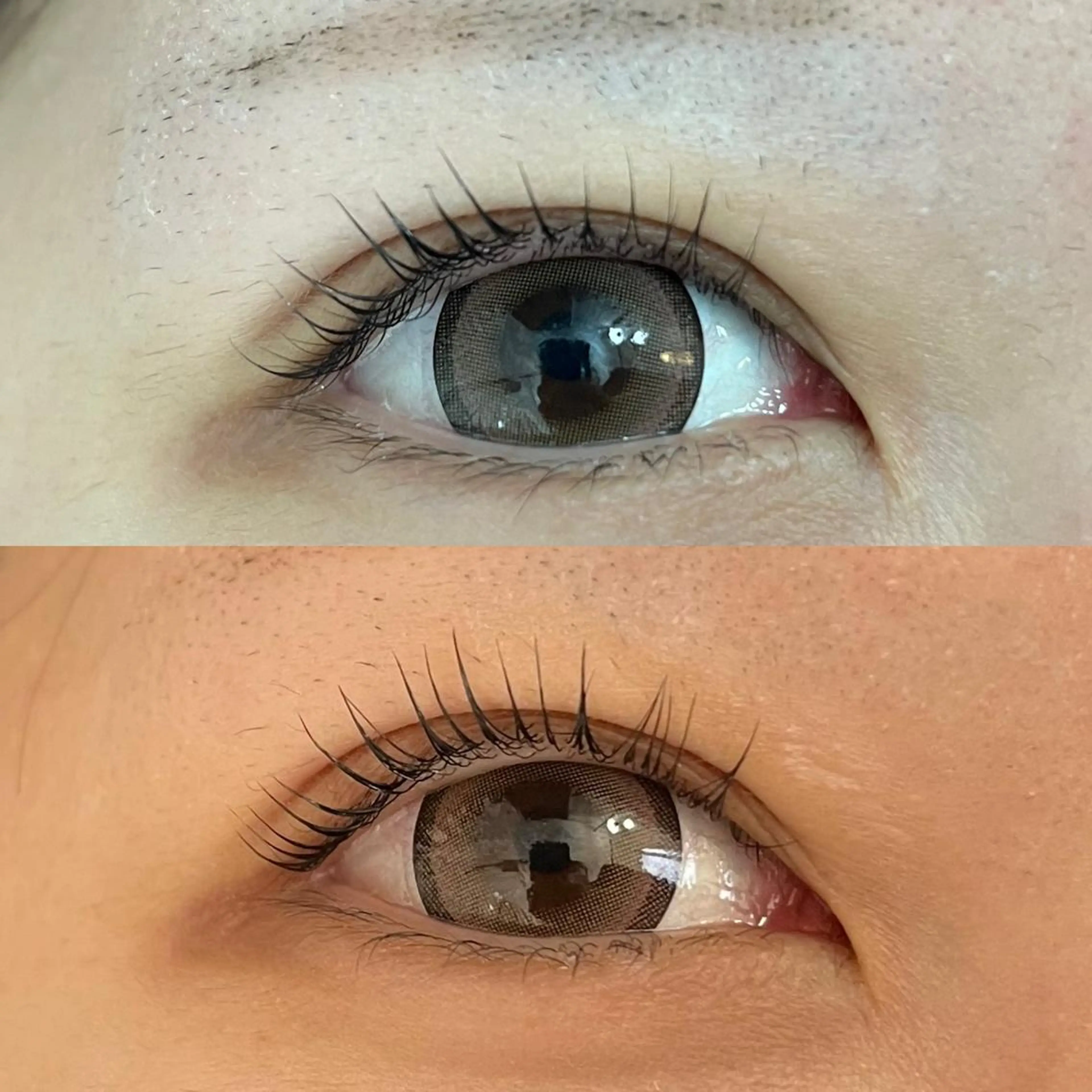 Eye'llbe lash《アイビーラッシュ》所属・Eye'llbe lashのその他イメージ