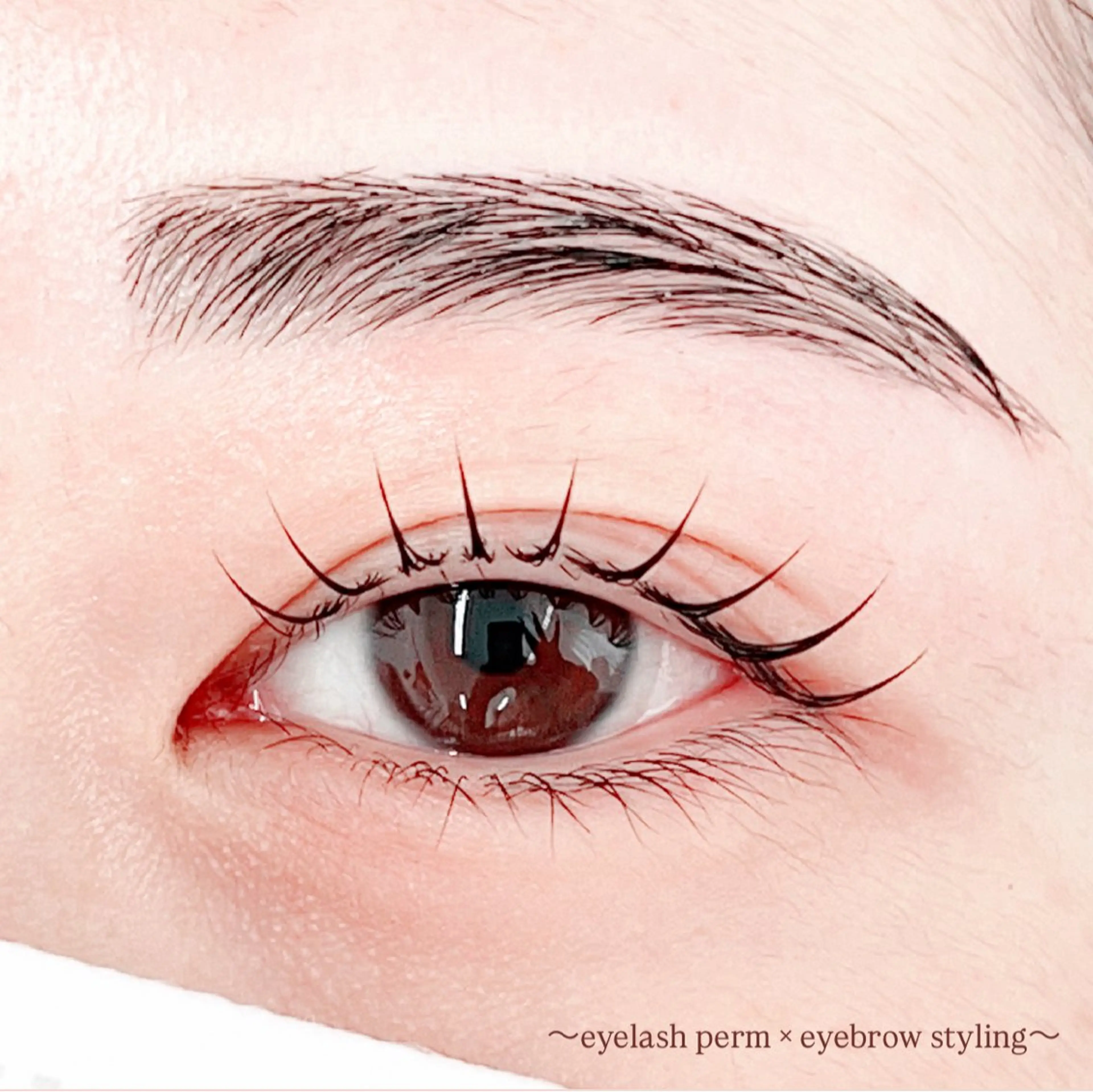 アイブロウ ワックス脱毛 眉カット その他(アイブロウ) 田村 莉子のマツエク・マツパデザイン