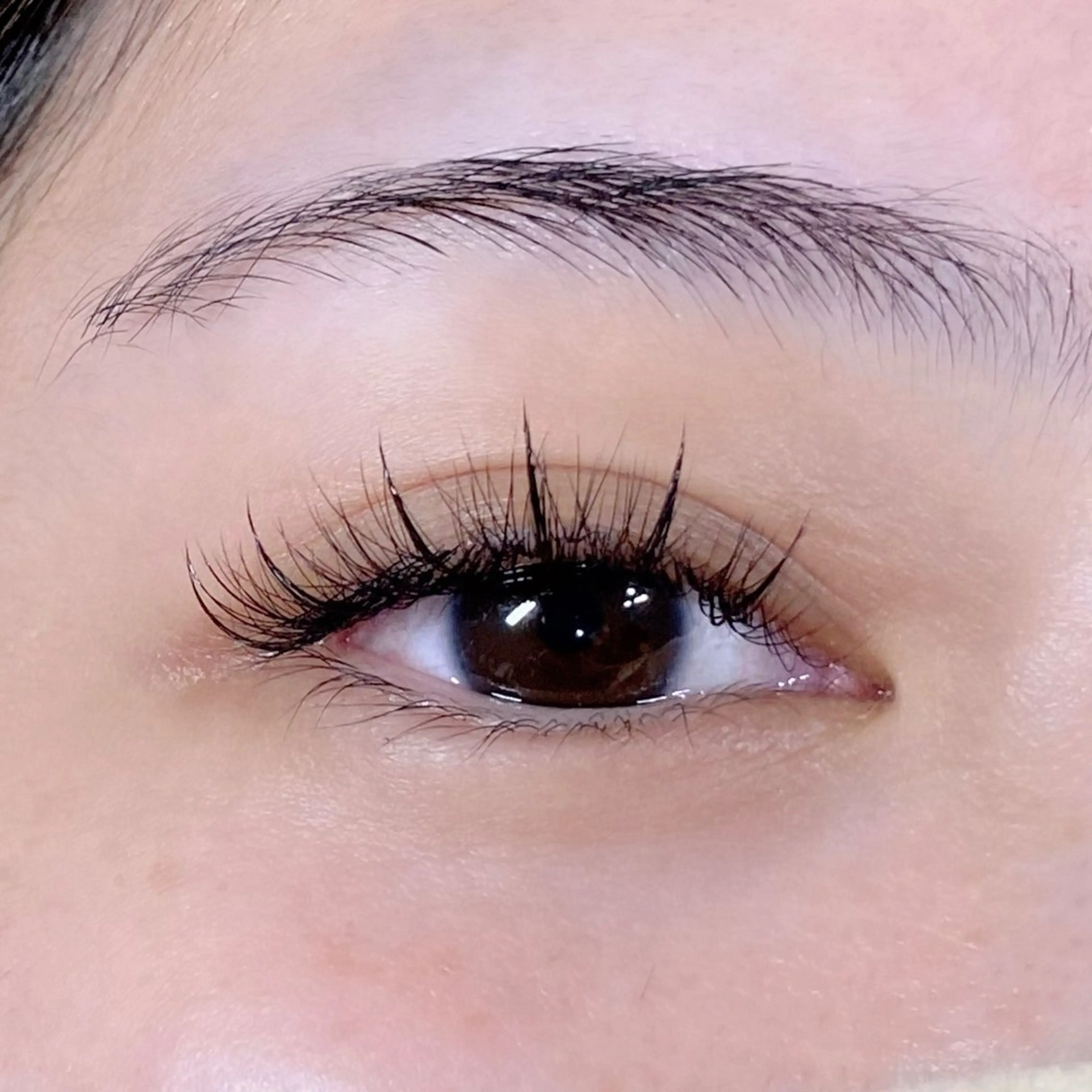 マツエク・マツパ ワンホンマツエク Manami 【自由が丘】のマツエク・マツパデザイン