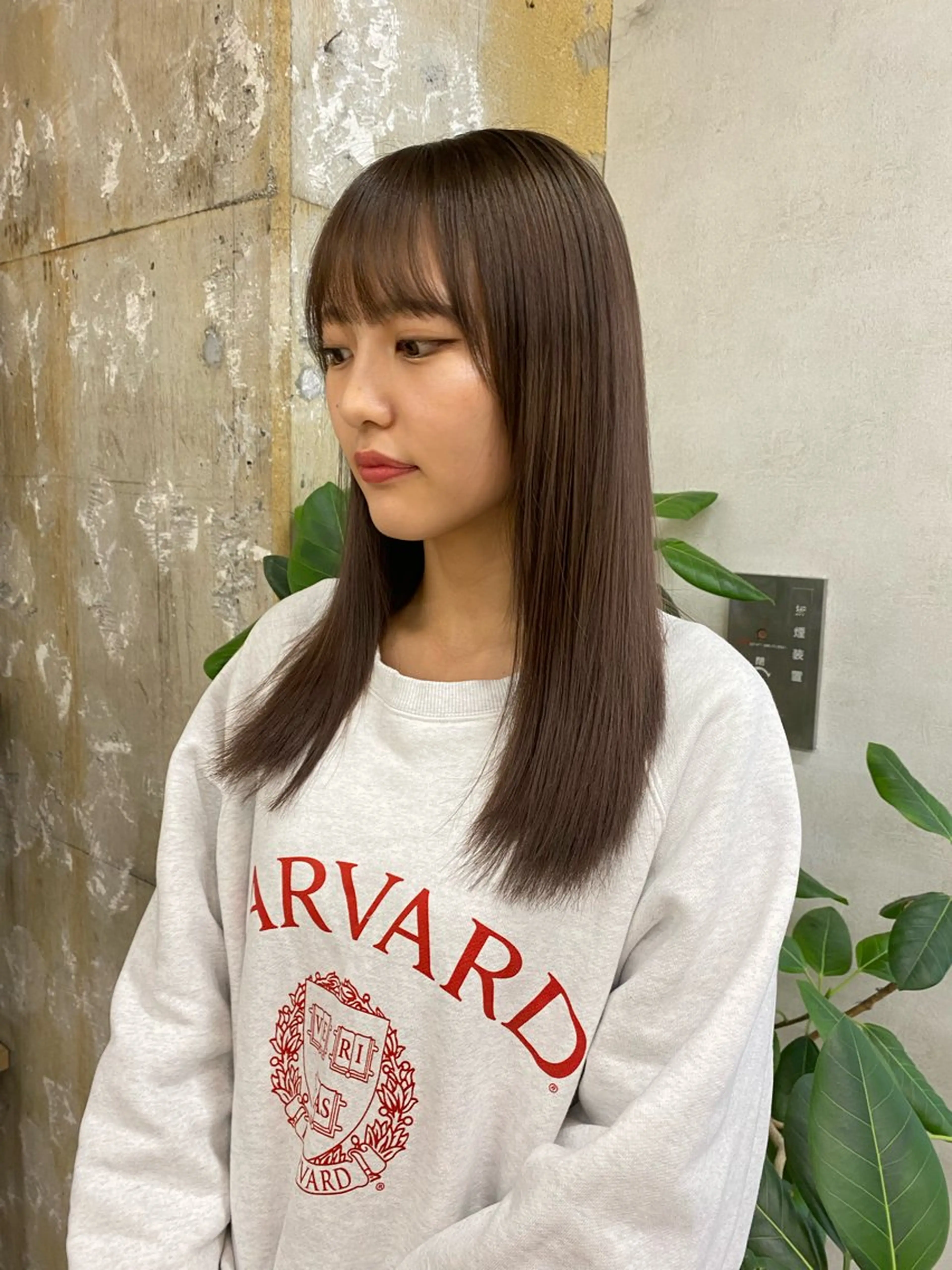 カラー Misaki ║ツヤカラーのヘアスタイル