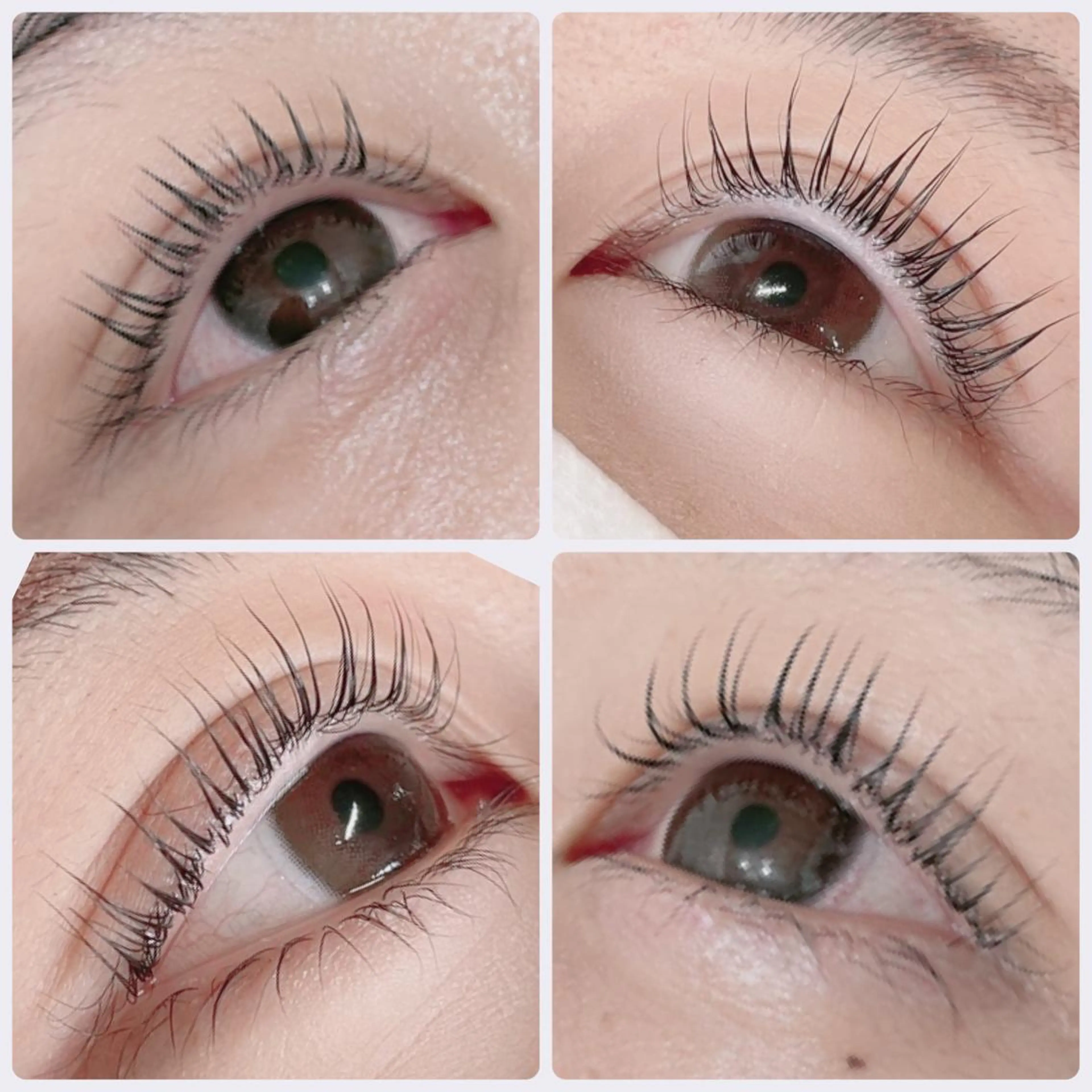 11月11日限定！まつげパーマor ラッシュリフト￥4000※店舗での予約の兼ね合いでお時間が前後する場合がございます。の写真