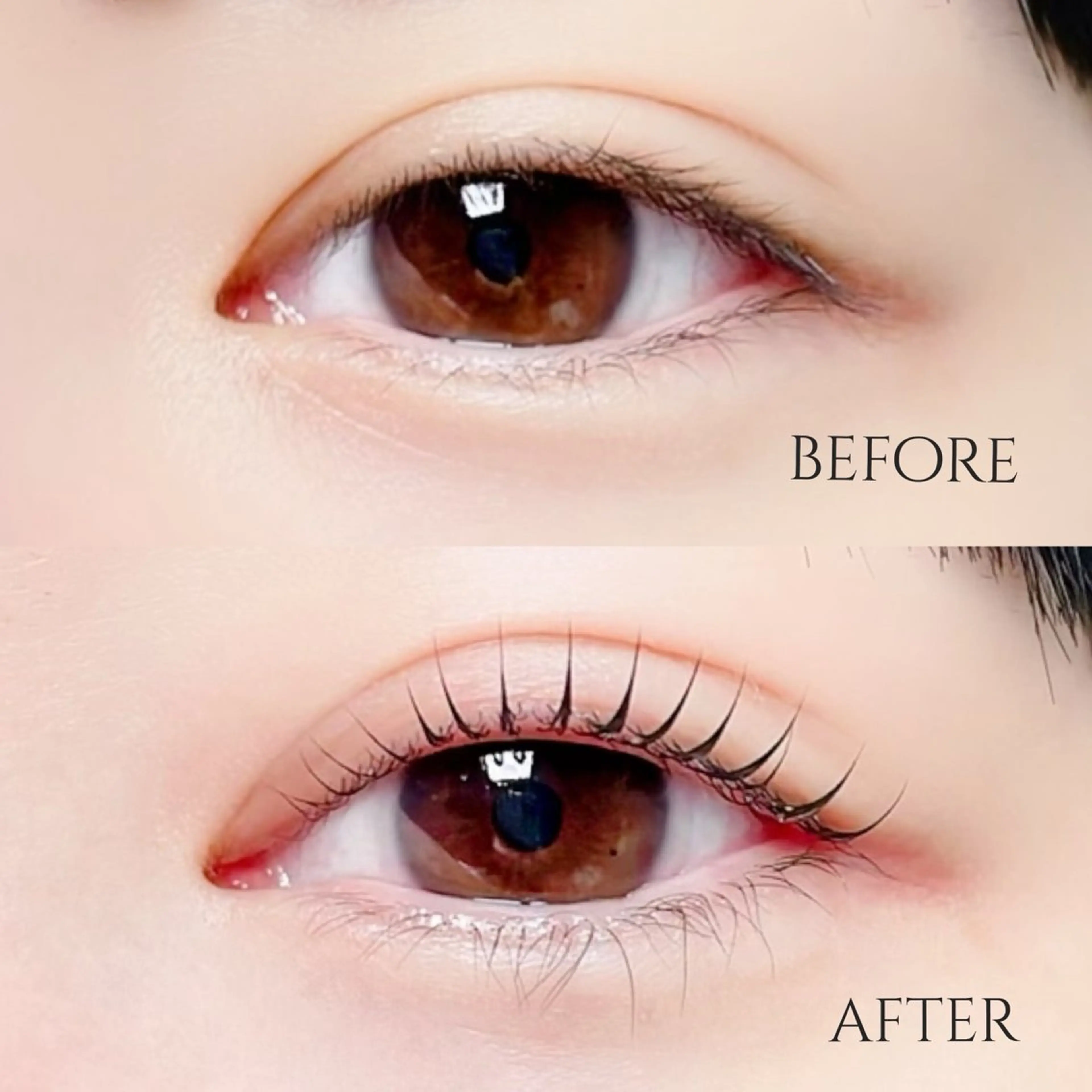 マツエク・マツパ MOMOE 恵比寿 まつげパーマのマツエク・マツパデザイン