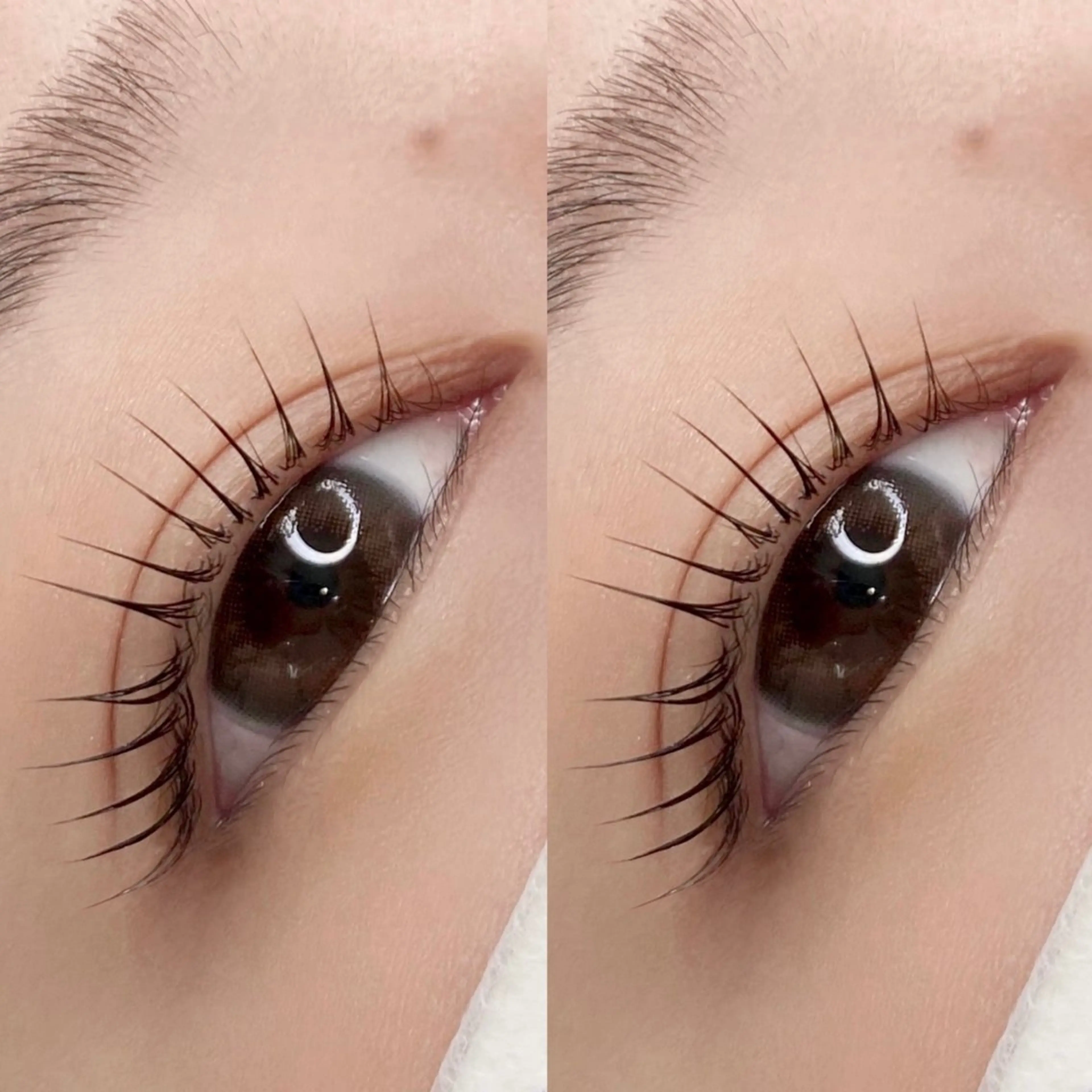 マツエク・マツパ パリジェンヌラッシュリフト BEMOA eyelash&eyebrow所属・BEMOA 新木 毬のマツエク・マツパデザイン