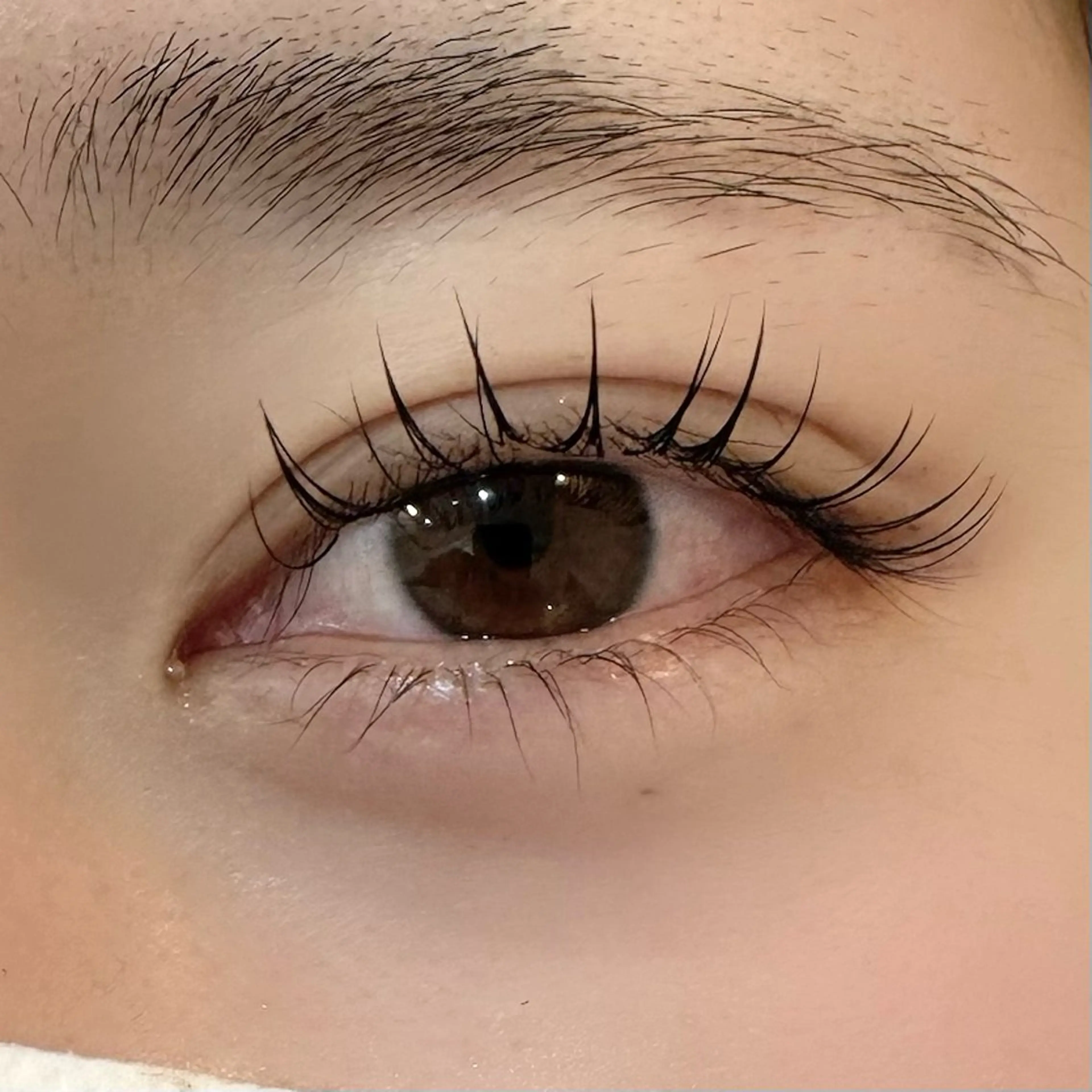 マツエク・マツパ マツエク tae .のマツエク・マツパデザイン