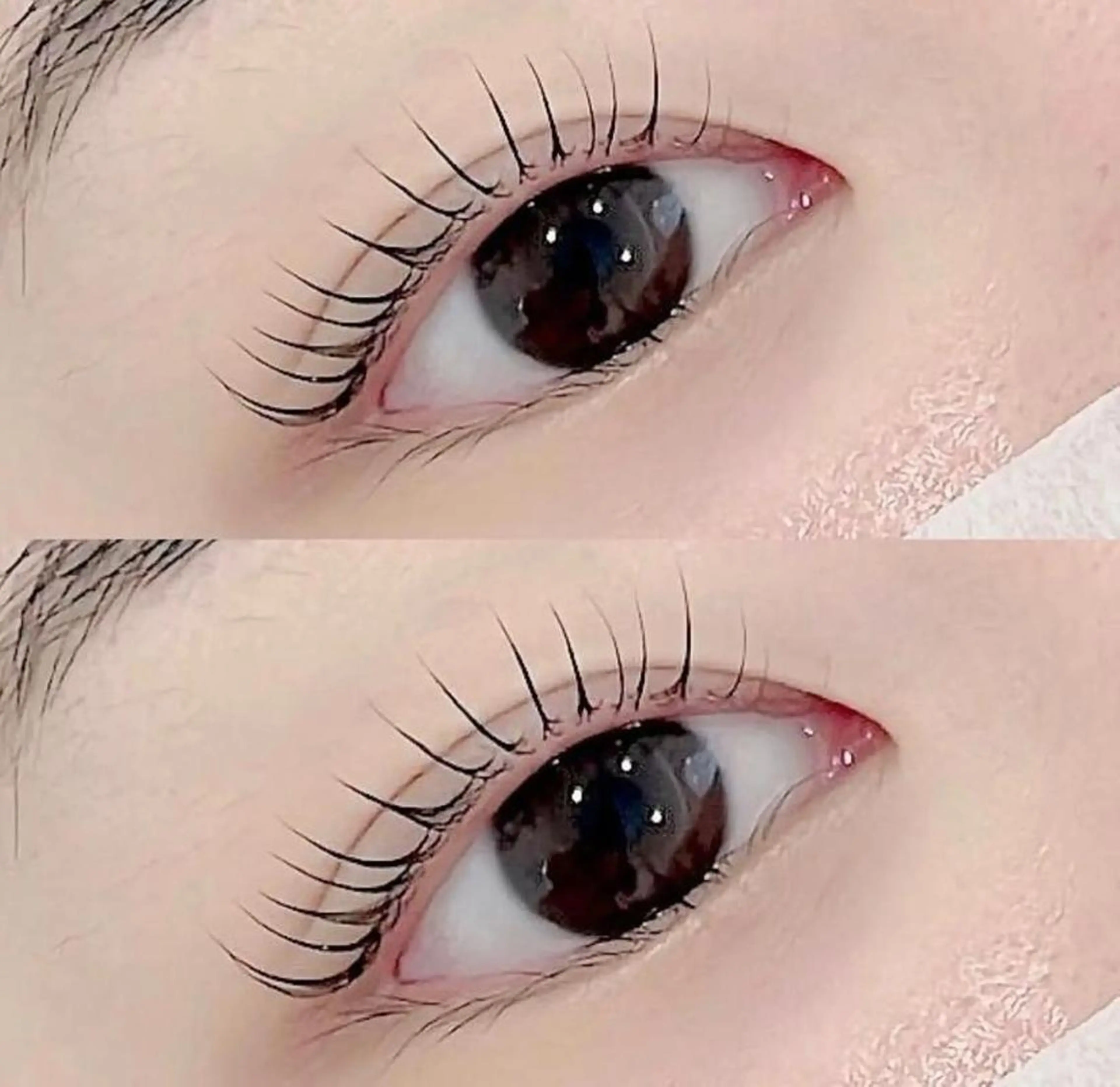 マツエク・マツパ まつげパーマ専門店 FOIのマツエク・マツパデザイン