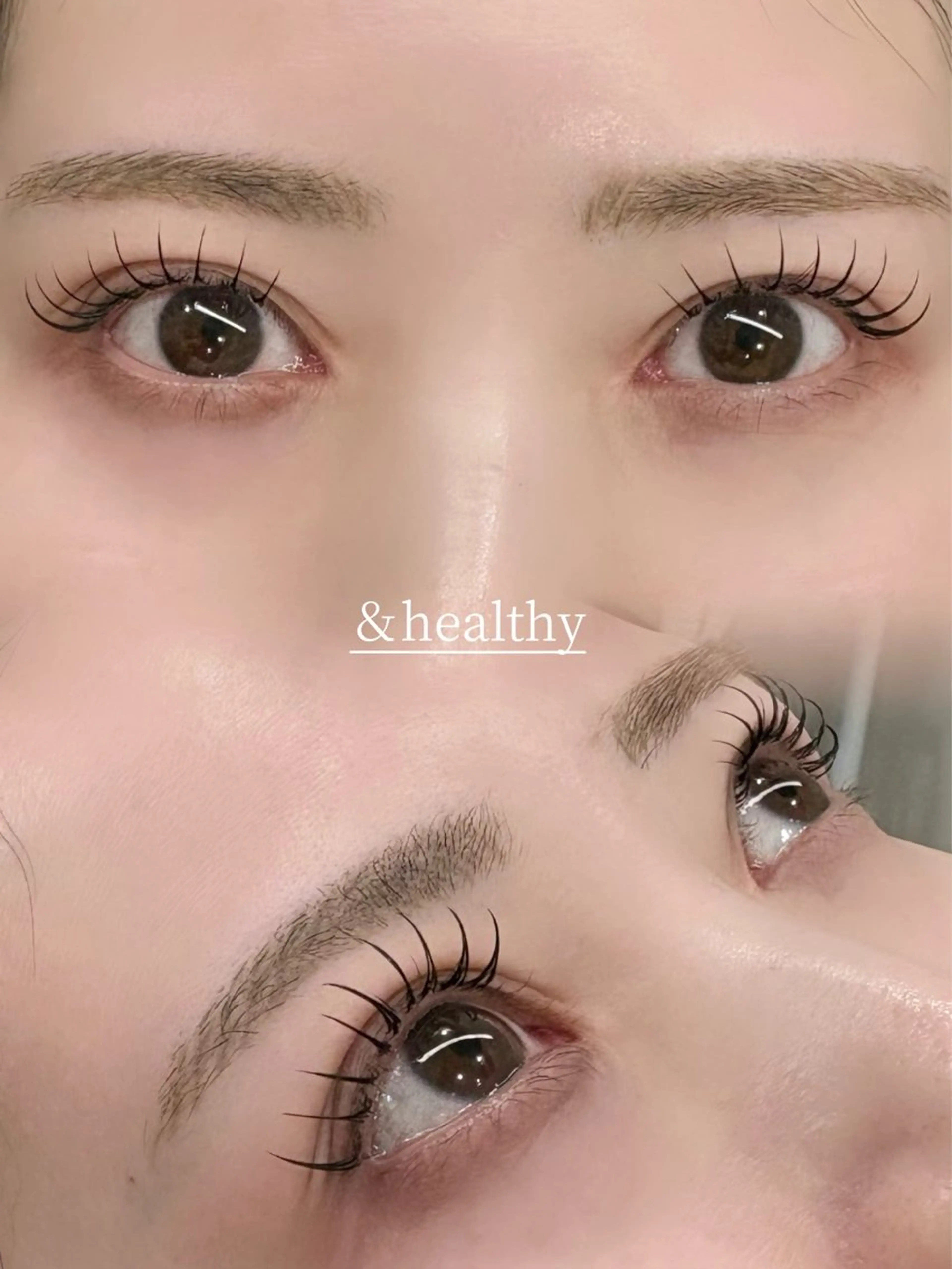 アンドヘルシー120本（オフなし）の写真