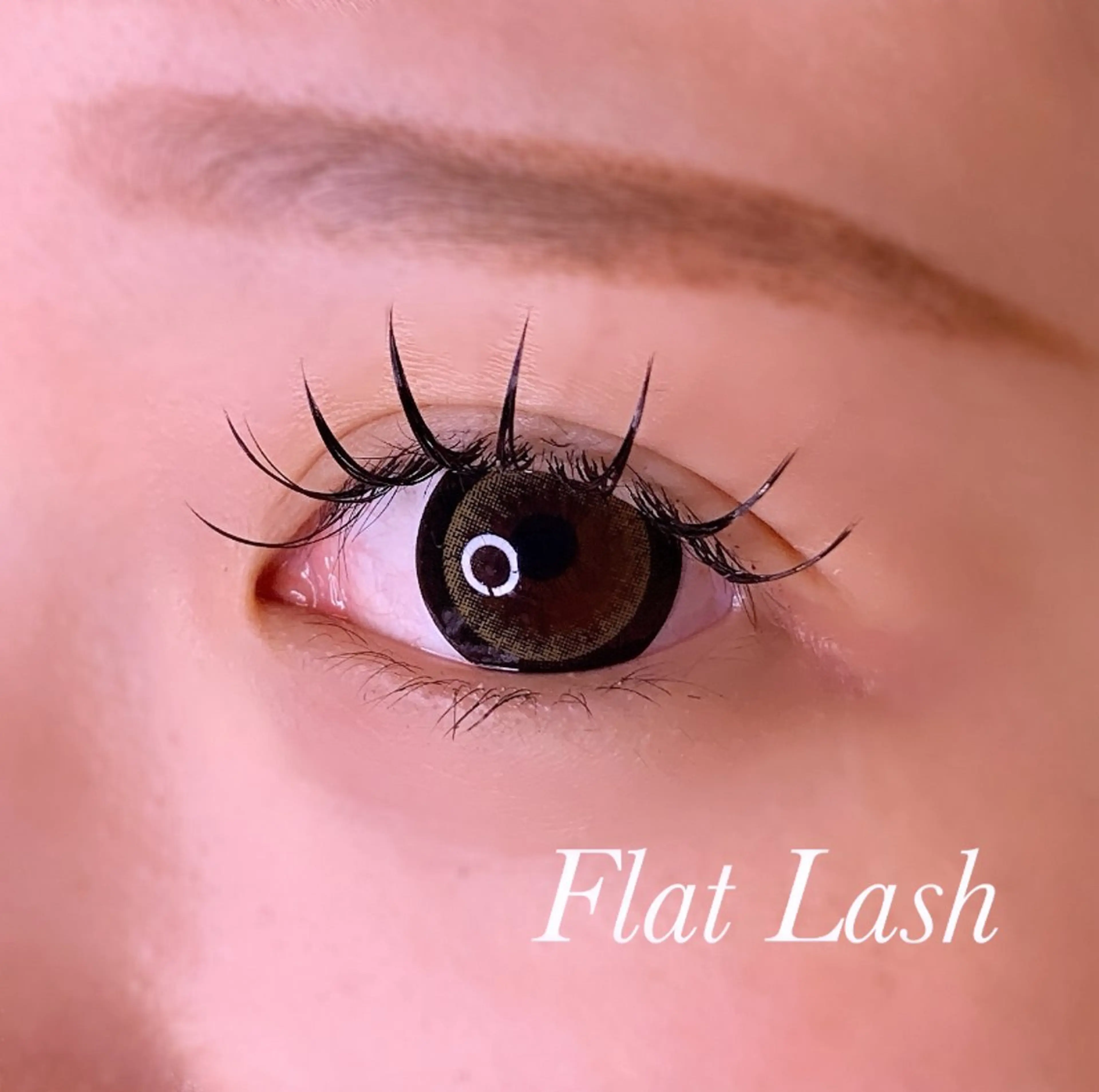 マツエク・マツパ Cカール フラットラッシュ マツエク Ayumi.pro 🍆N《4階》のマツエク・マツパデザイン