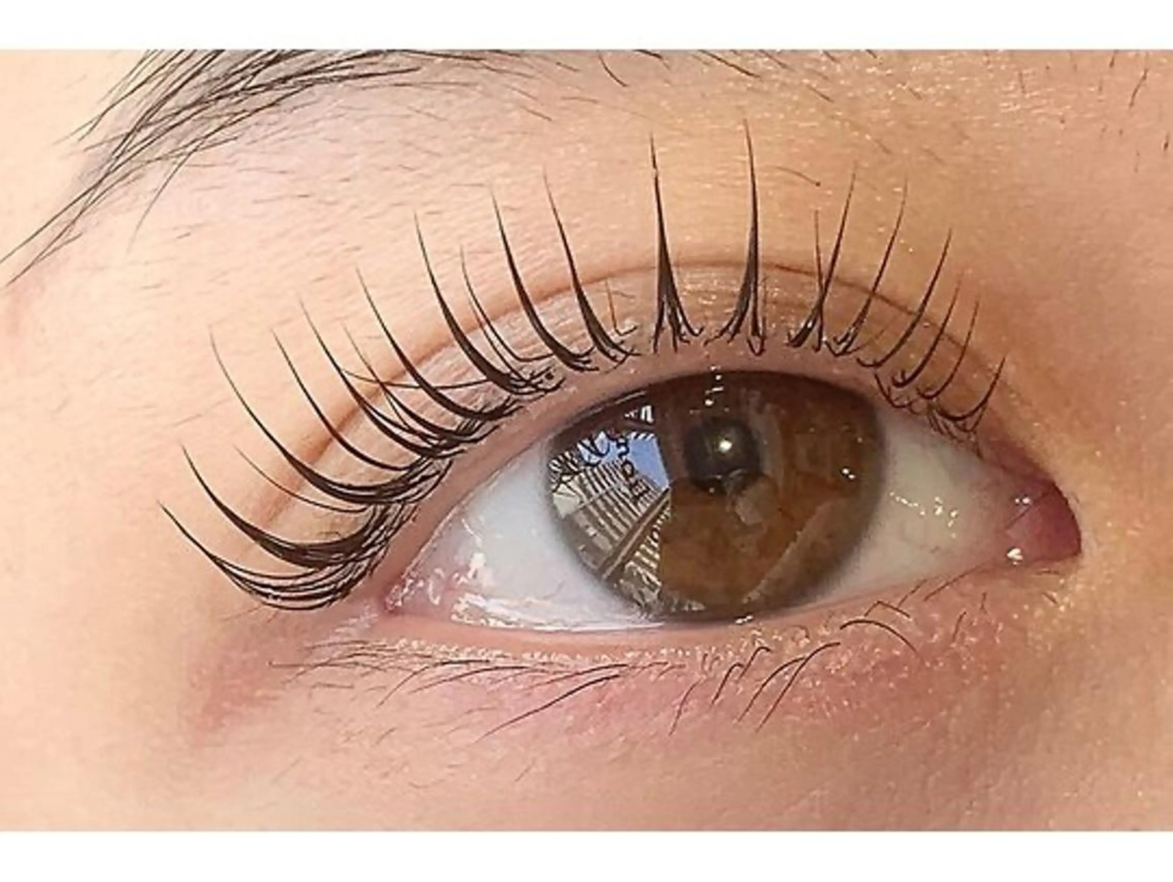 12/25クリスマス限定🎄🤶似合わせまつげパーマ上のみ （まつげ/パーマ）［亀戸/錦糸町］の写真