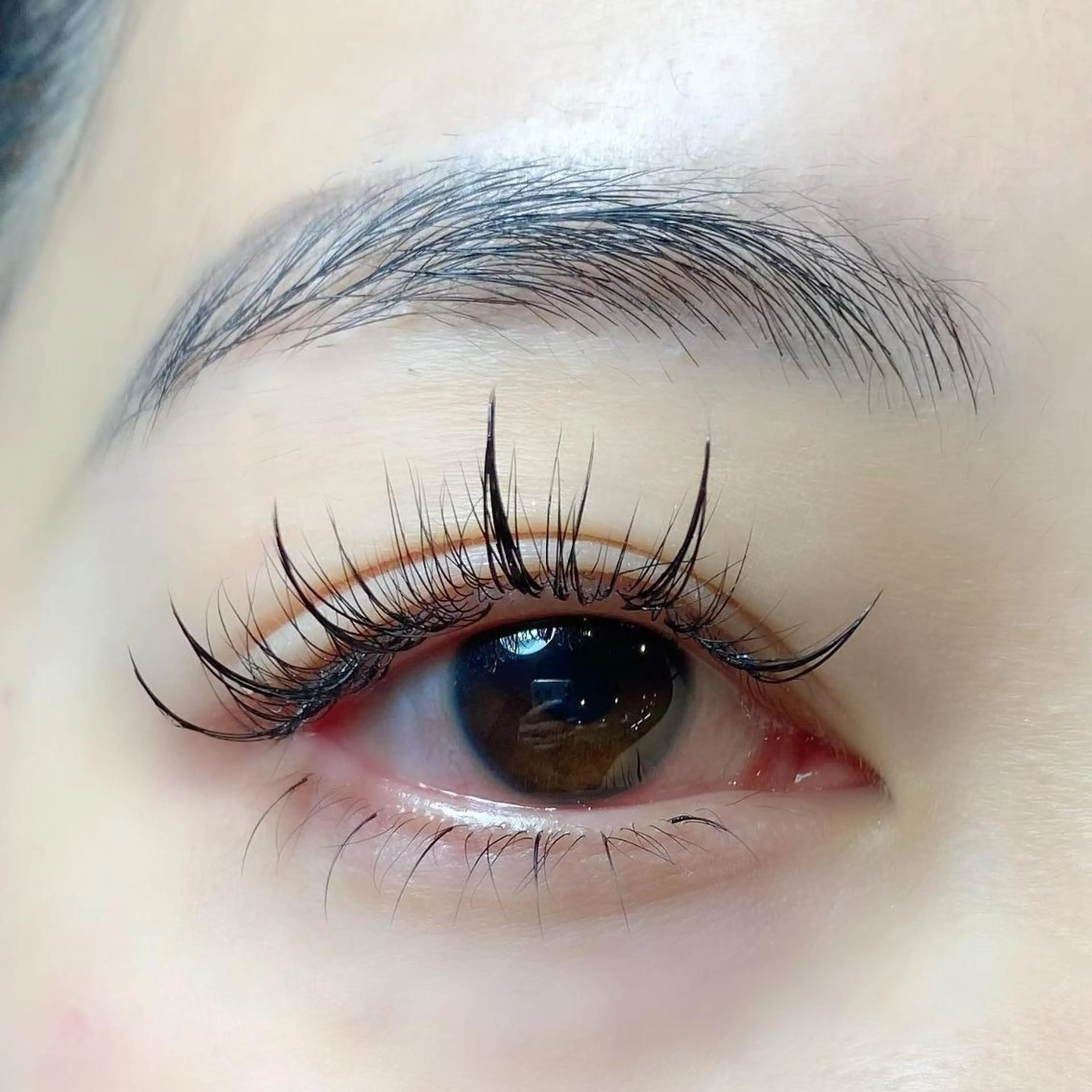 ネイル マツエク・マツパ フラットラッシュ ボリュームラッシュ ワンホンマツエク ワンホンネイル Cat's eye TOKYO 新宿店のネイルデザイン