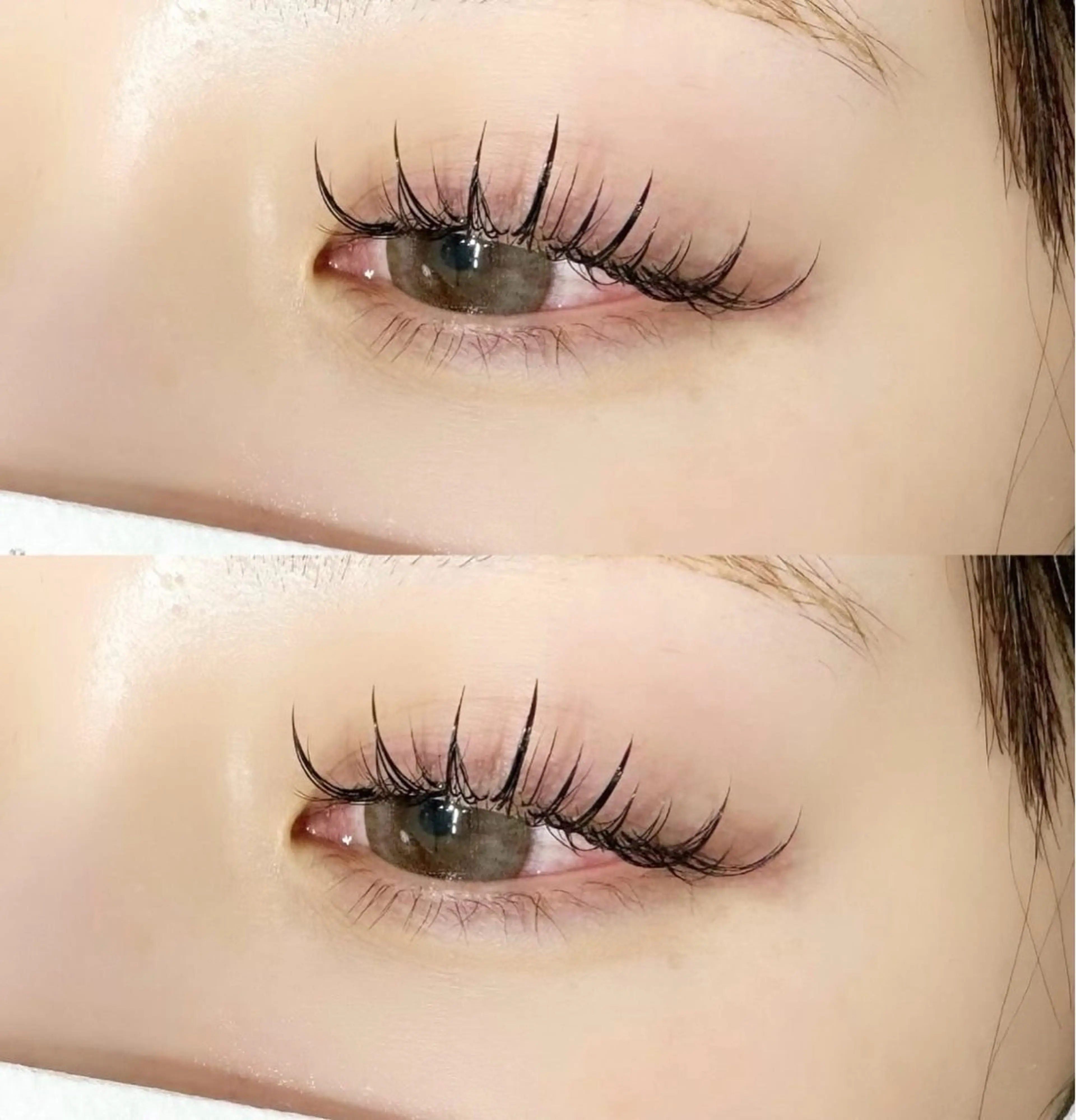 【ご新規様】バインドロック50束〔コーティング仕上げ付き〕の写真