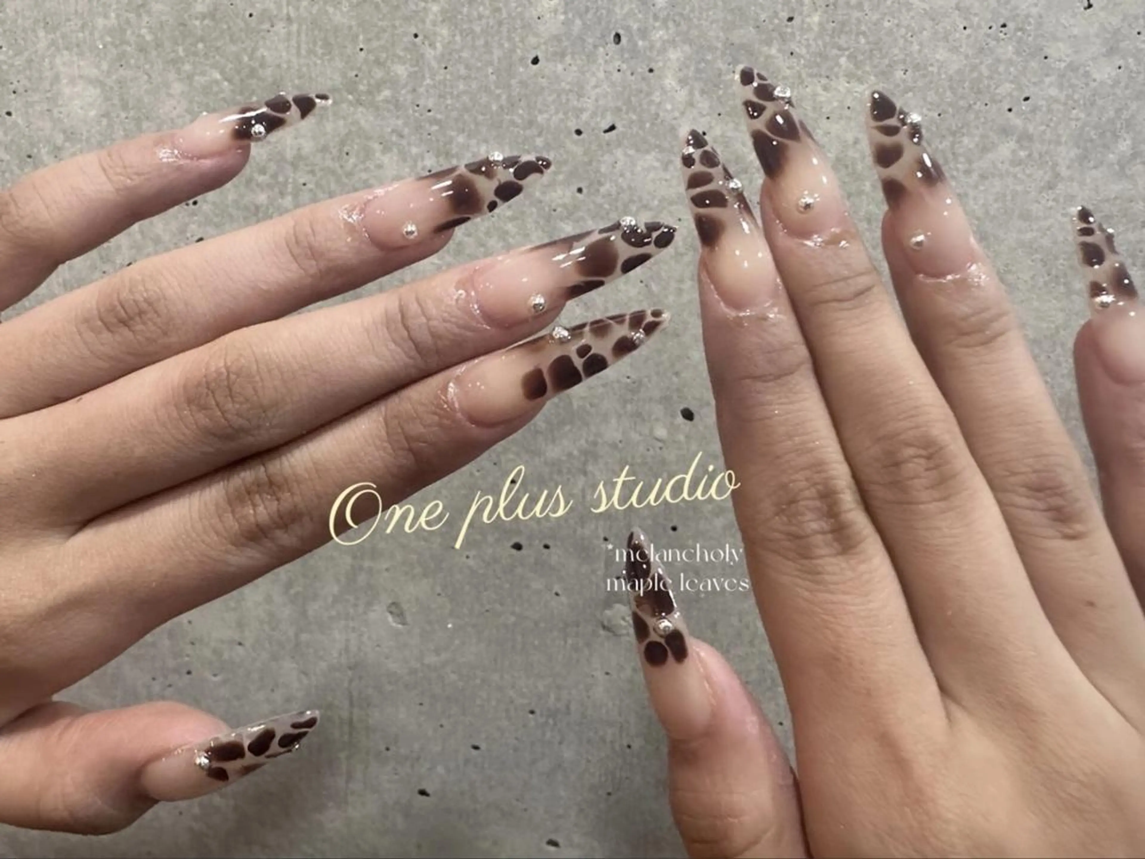 ネイル アニマル柄 ボルドー ブラウン フレンチネイル マグネットネイル One Plus Nail Salonのネイルデザイン