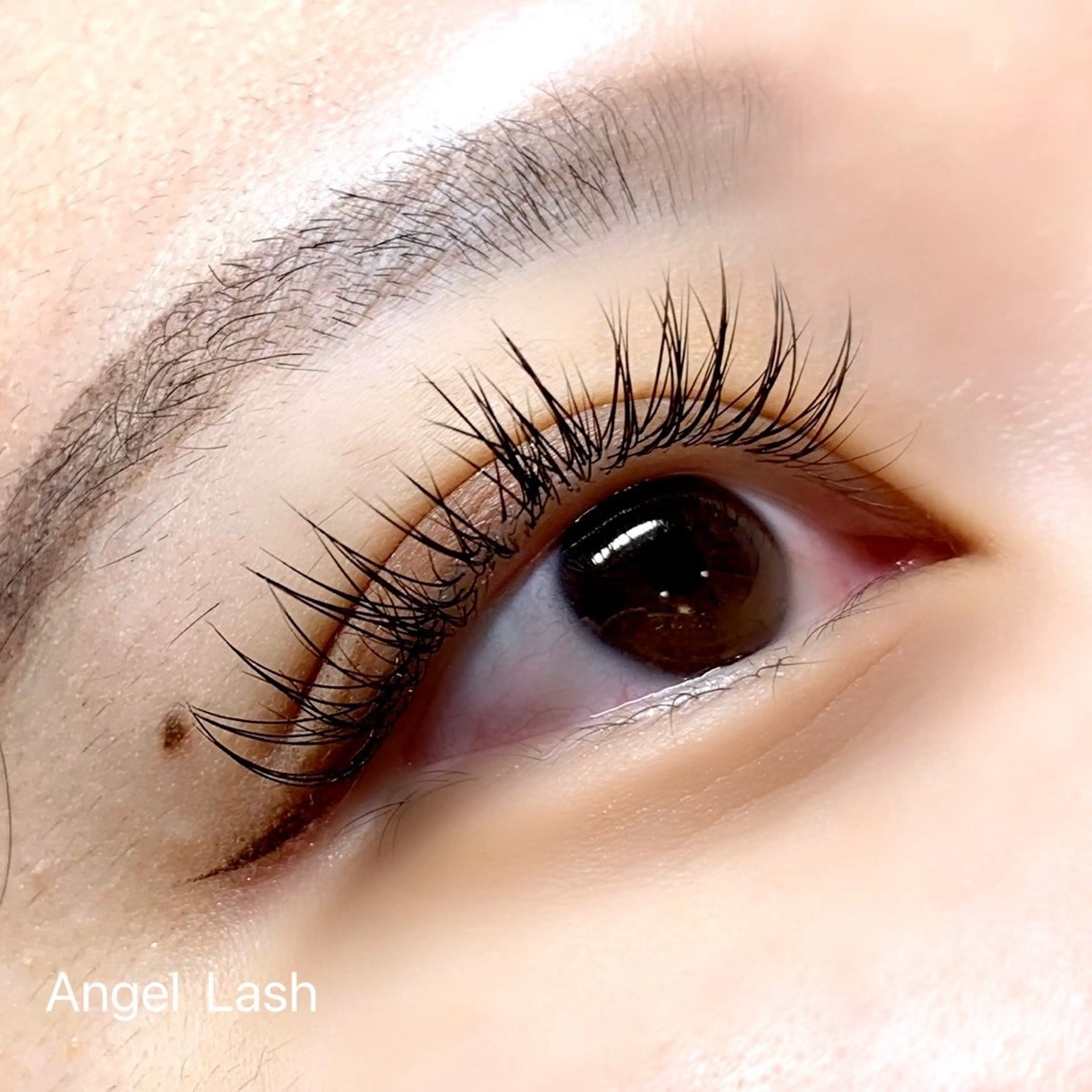 マツエク・マツパ THE EYEBROW 「ザ・アイブロウ」大宮店所属・sugimachi 🦋のマツエク・マツパデザイン