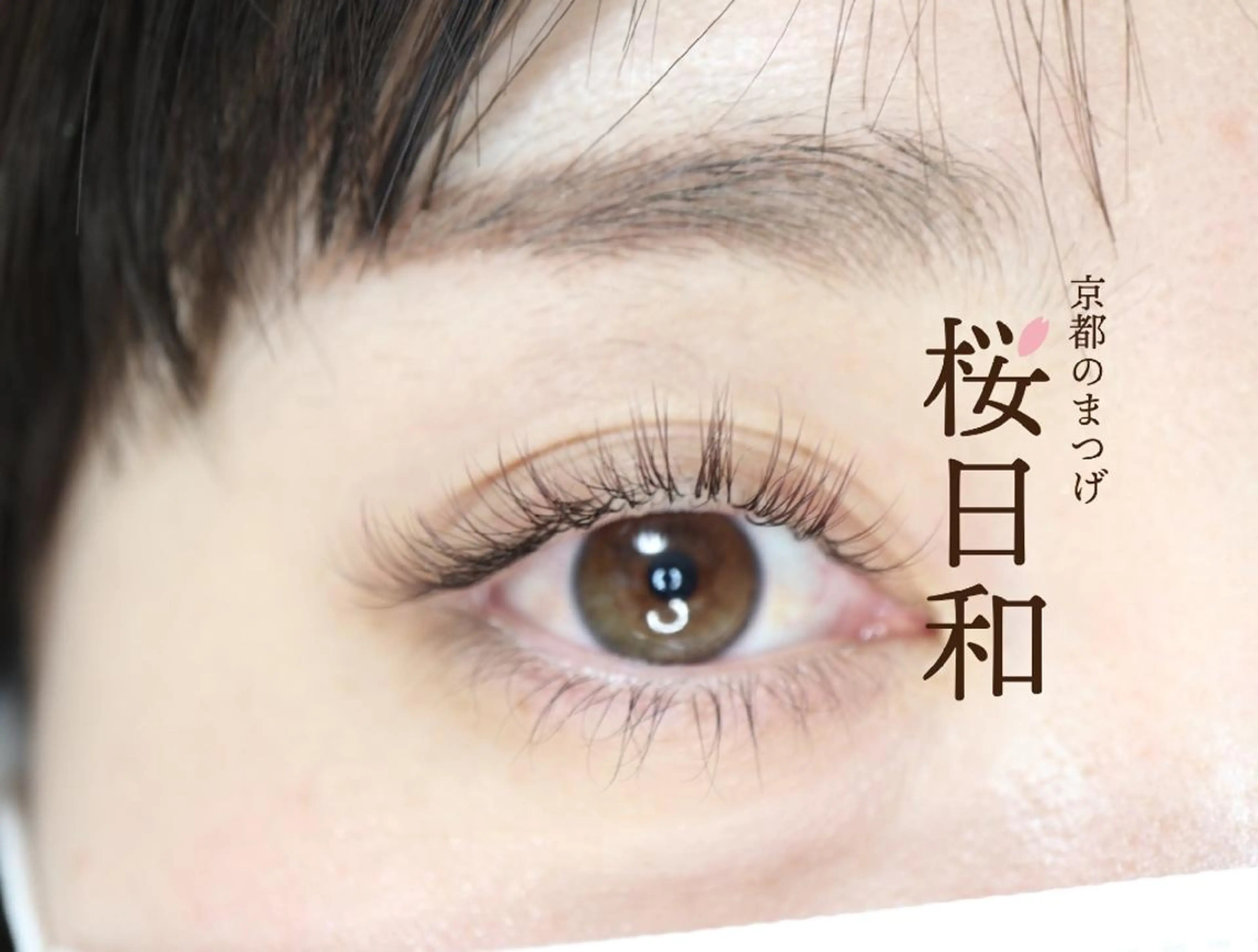 マツエク・マツパ Cカール カラーマツエク フラットラッシュ まつげパーマ セクシー 京都のまつげ桜日和 小島美桜のマツエク・マツパデザイン