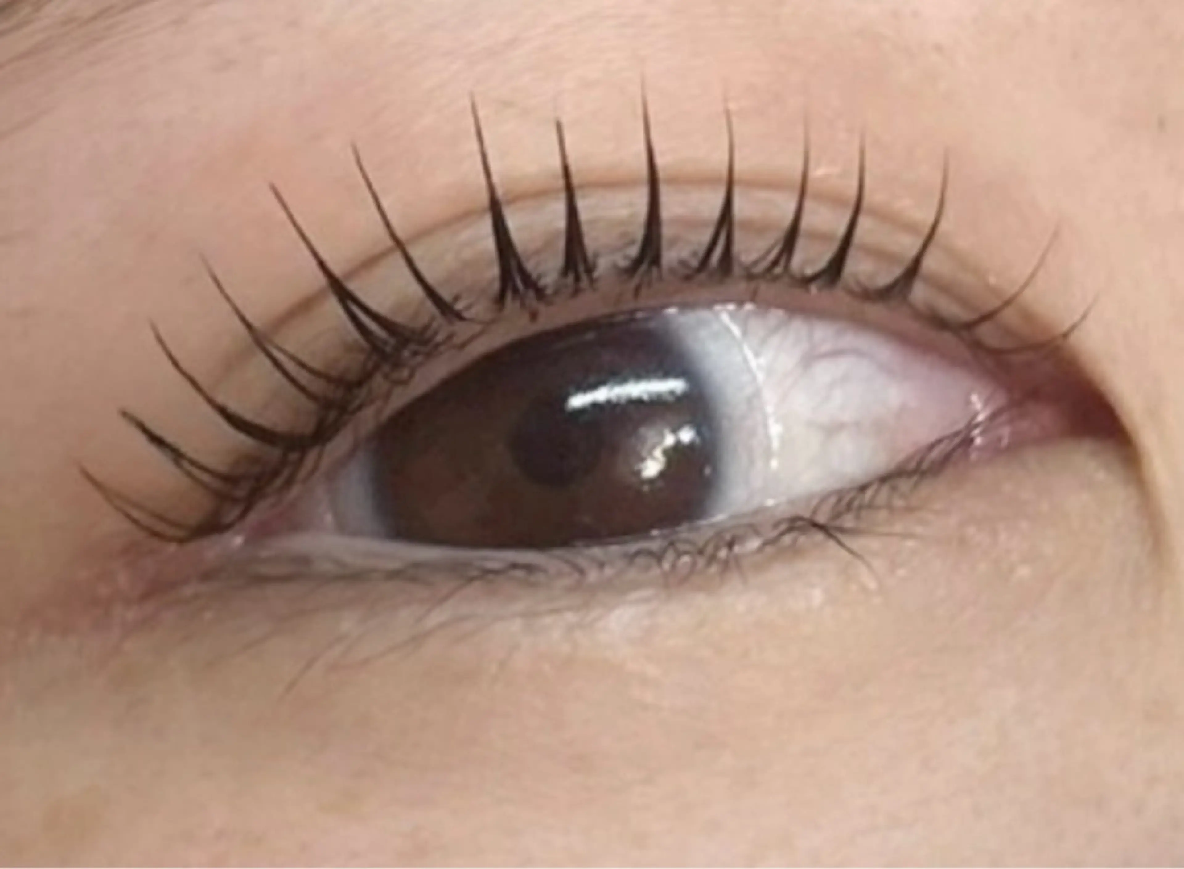 マツエク・マツパ マツパ poka lash所属・poka lash 奥村の眉毛・アイブロウイメージ