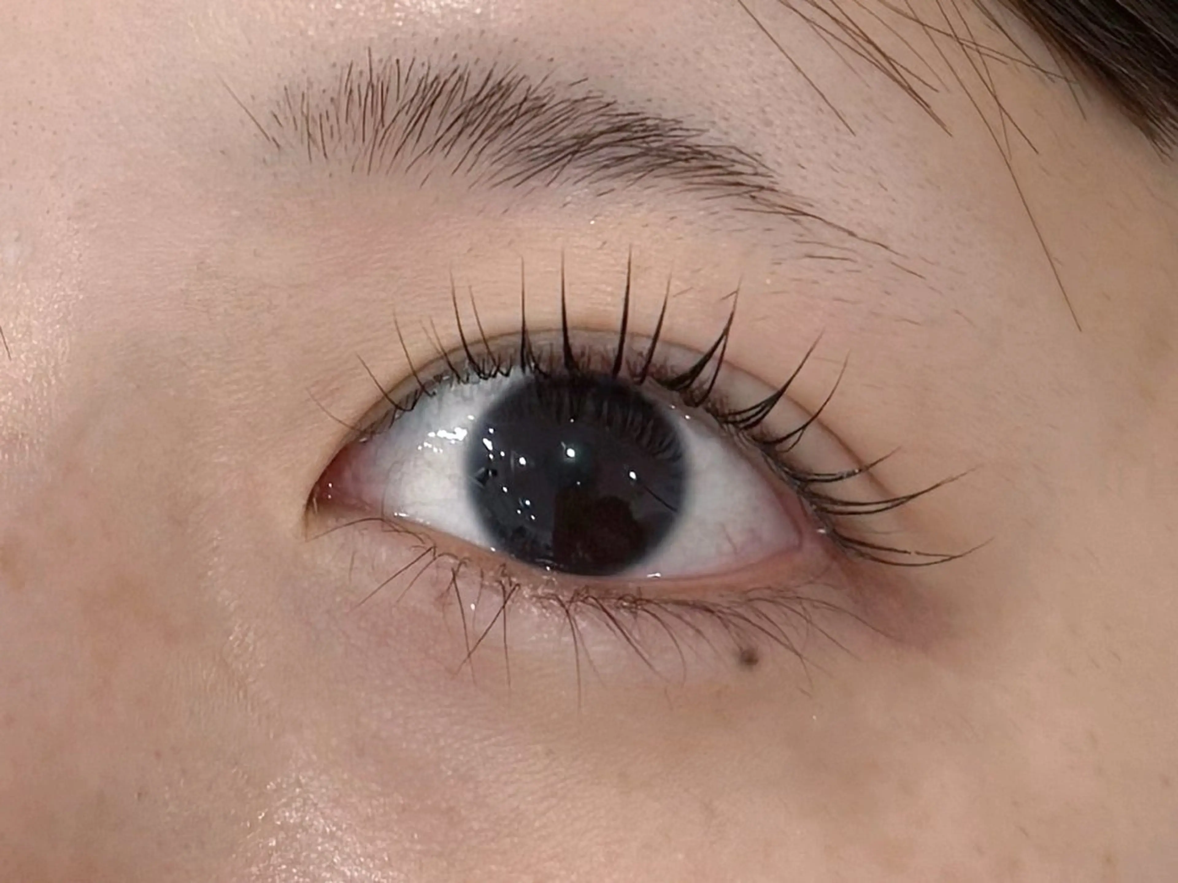 マツエク・マツパ Shino 🐈‍⬛🌙のマツエク・マツパデザイン