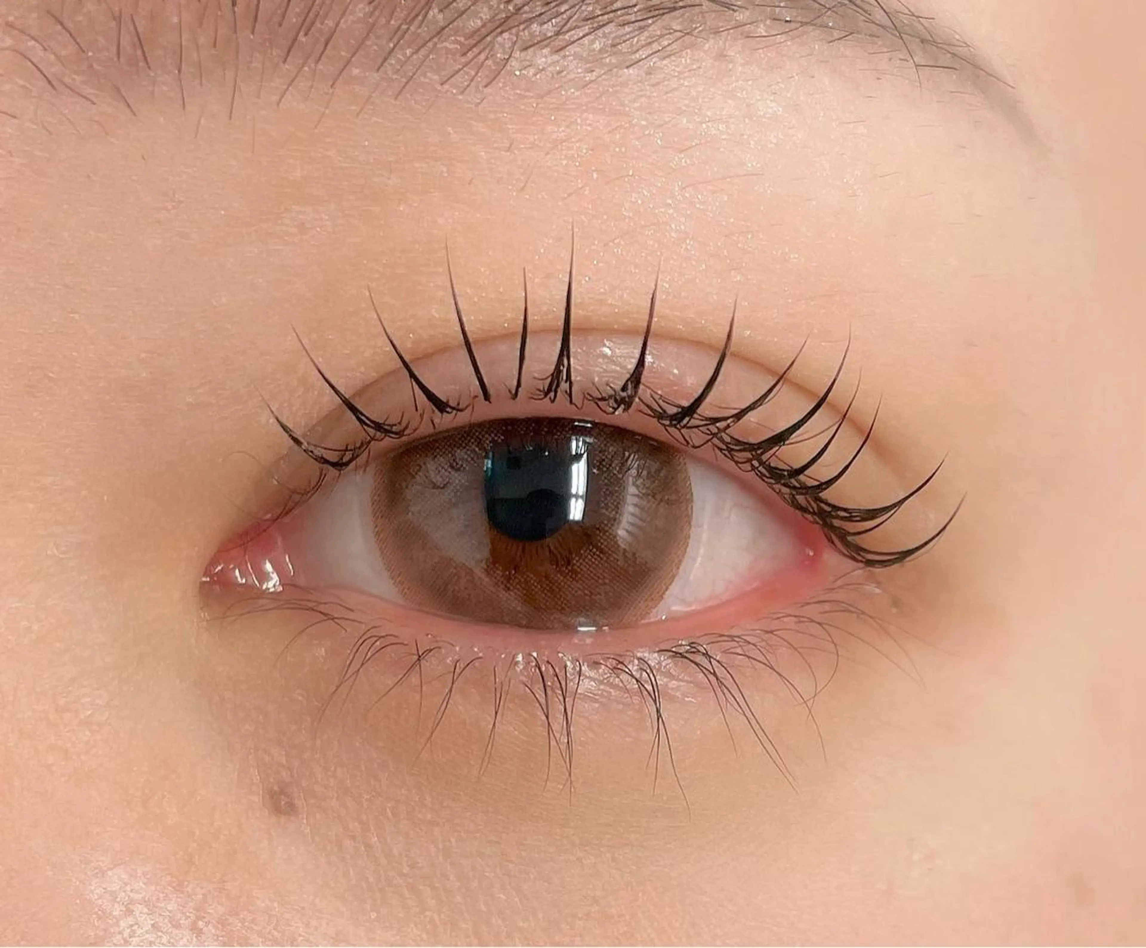 【❄️ミニモ限定❄️】まつ毛パーマ💗(上)アイシャンプー付き🫧の写真