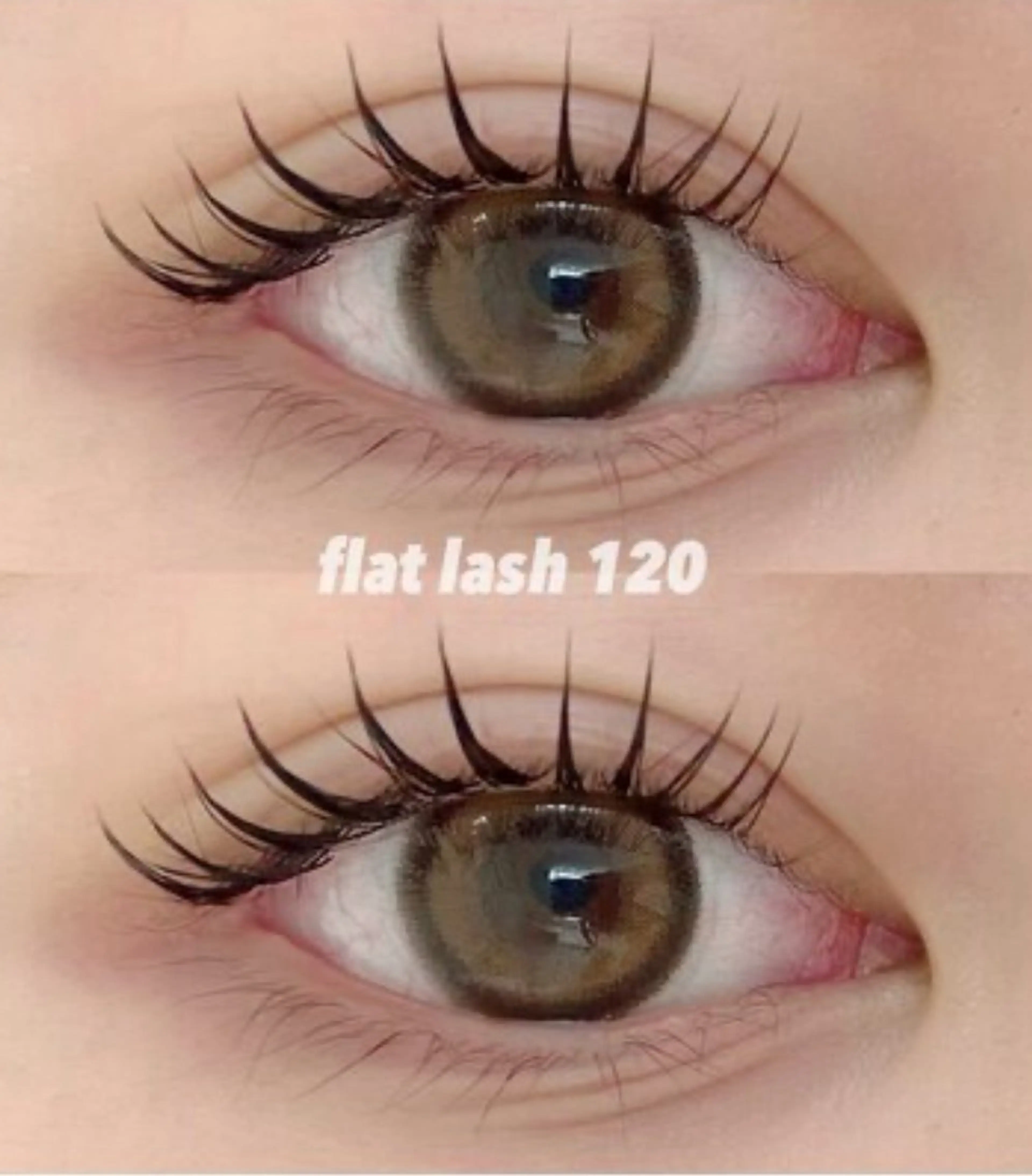 【12/29限定】フラットラッシュ90分付け放題の写真