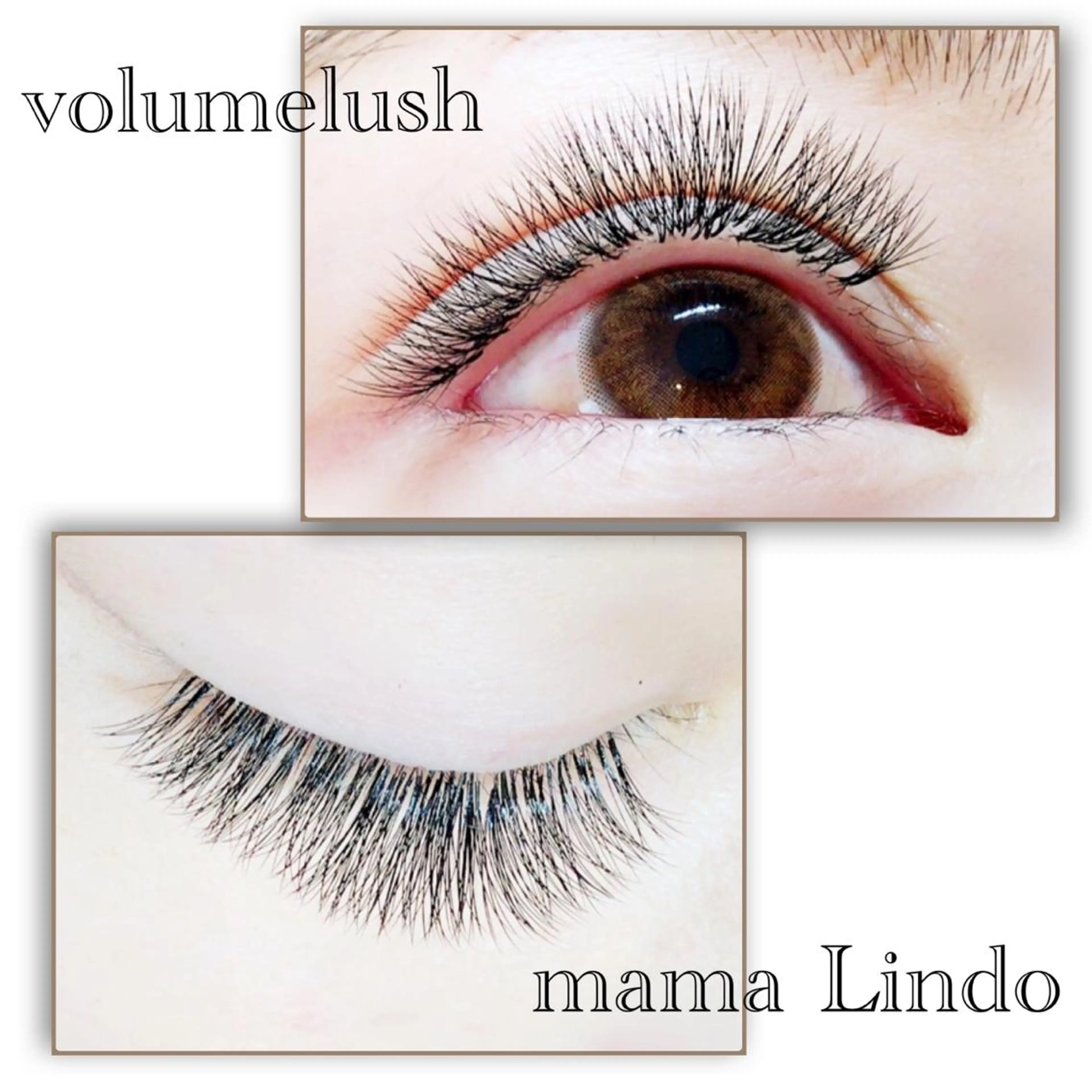 マツエク・マツパ マツエク mama Lindo所属・谷口 沙希のマツエク・マツパデザイン