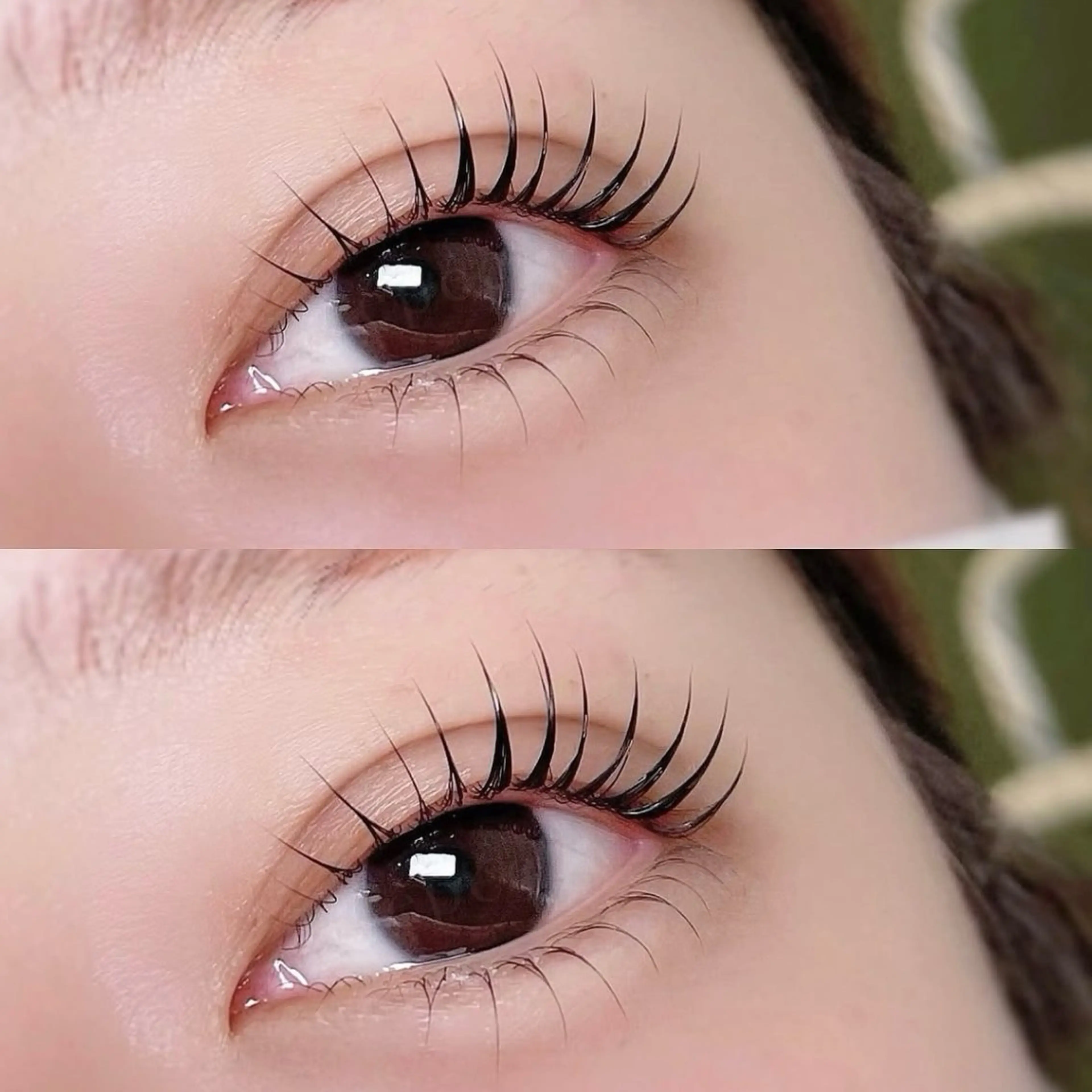 ❤️‍🔥おすすめ❤️‍🔥ラッシュリフトまつげパーマ上+下  🌸高濃度美容液付✨の写真