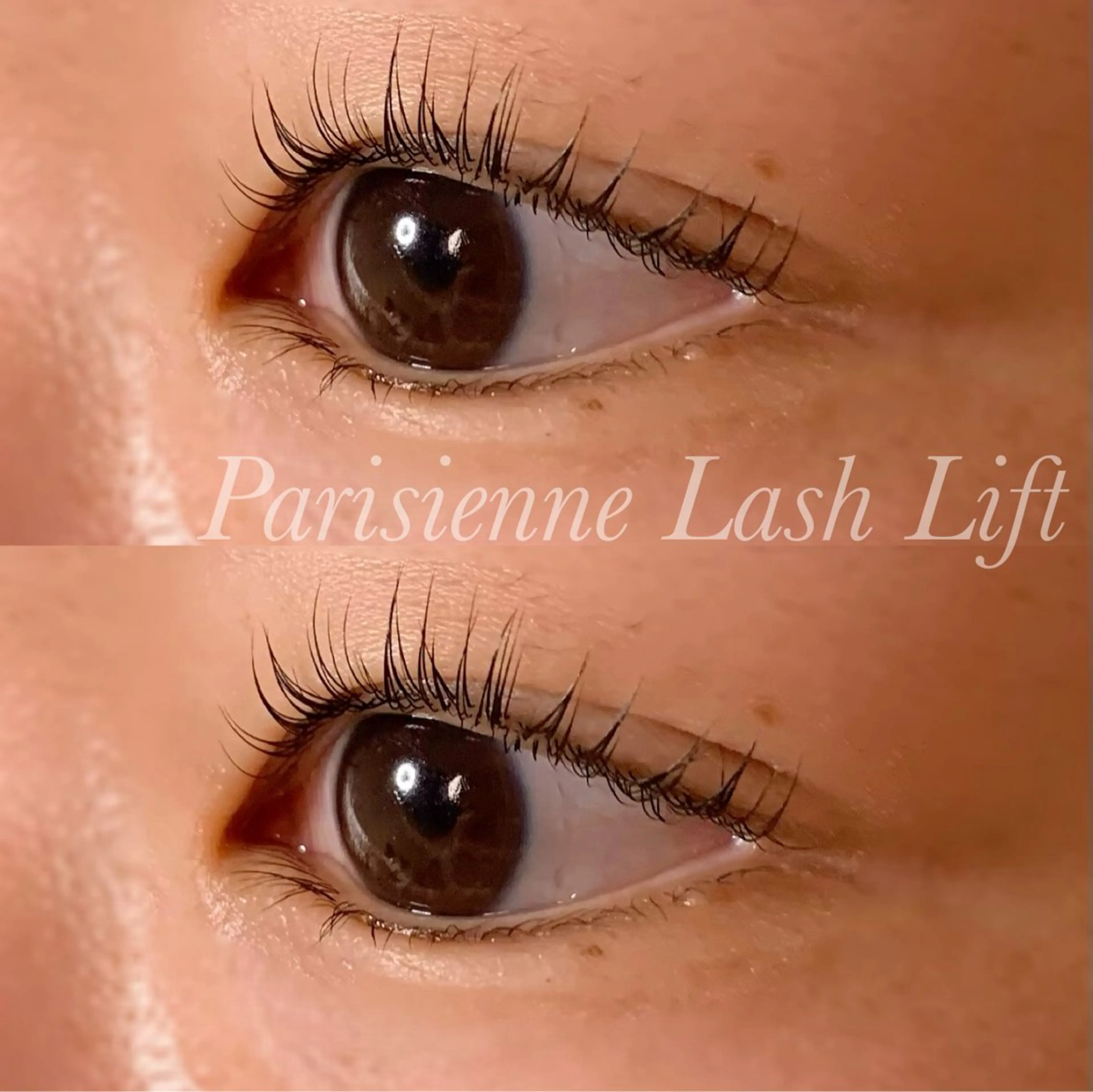 マツエク・マツパ パリジェンヌラッシュリフト マツパ Ayumi.pro 🍆N《4階》のマツエク・マツパデザイン