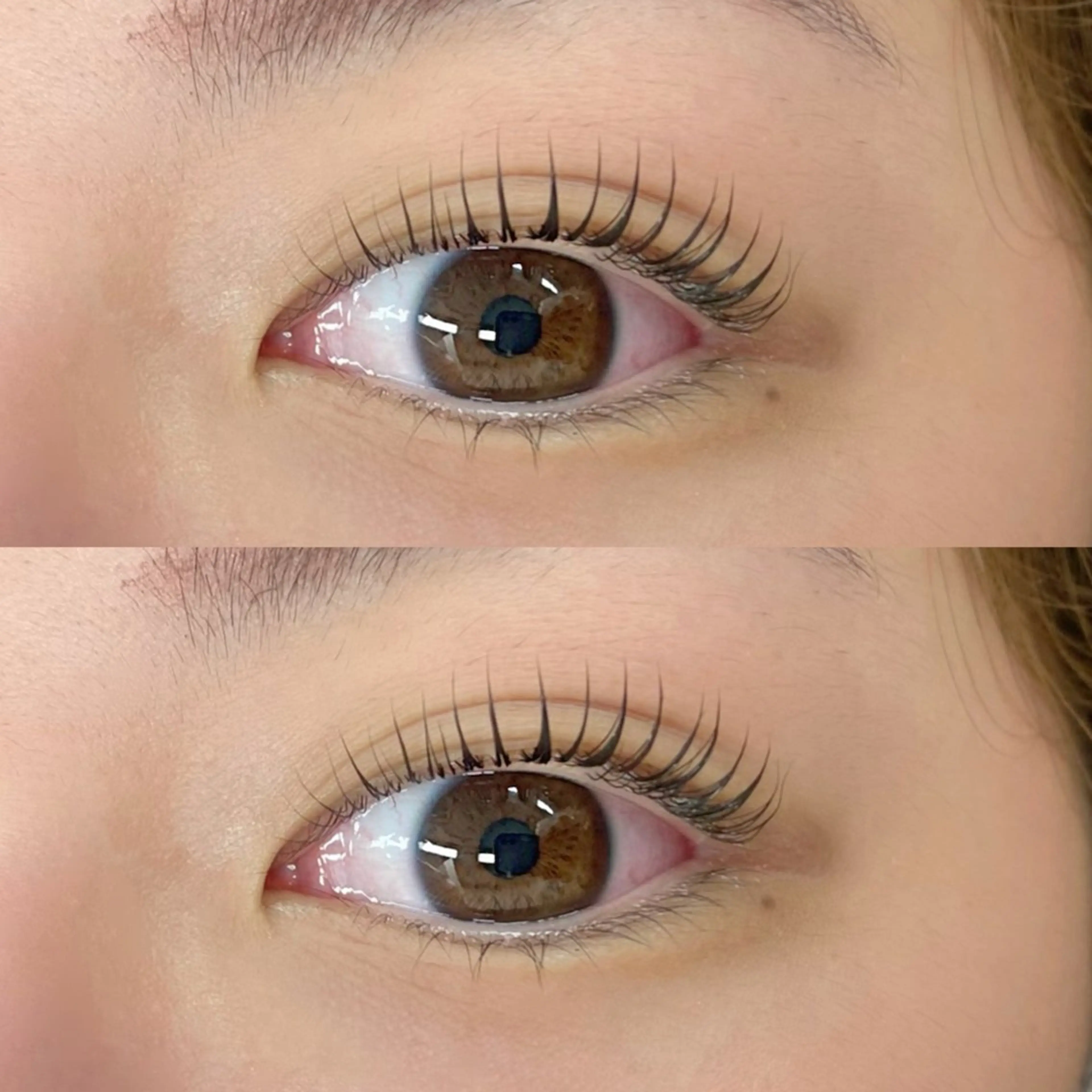 アイシャンプー付まつ毛パーマorパリジェンヌ🧚♀️🤍の写真