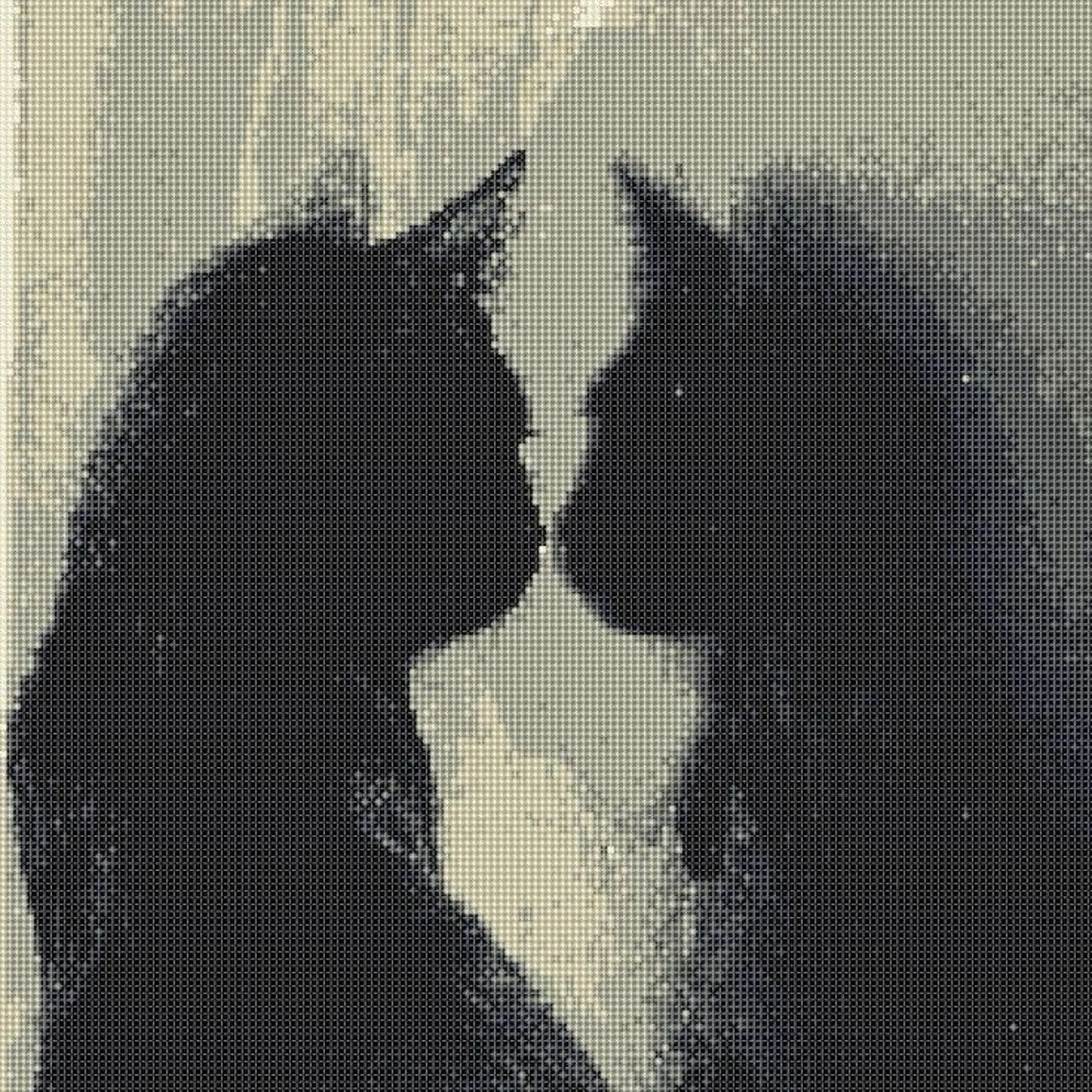 🩶【extension×10本】aurora magnetの写真