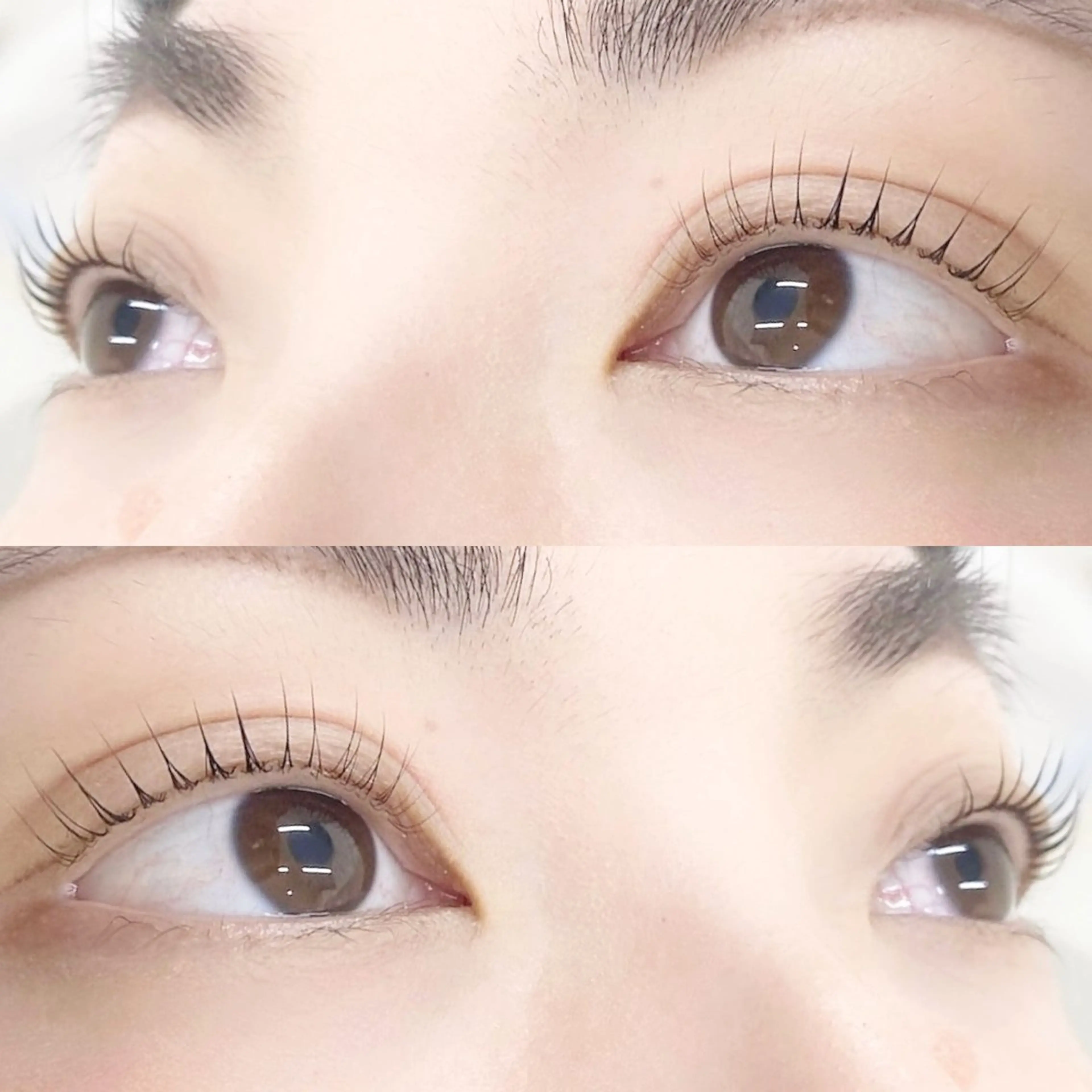 マツエク・マツパ 🌼Alba🌼 犬馬塲のマツエク・マツパデザイン