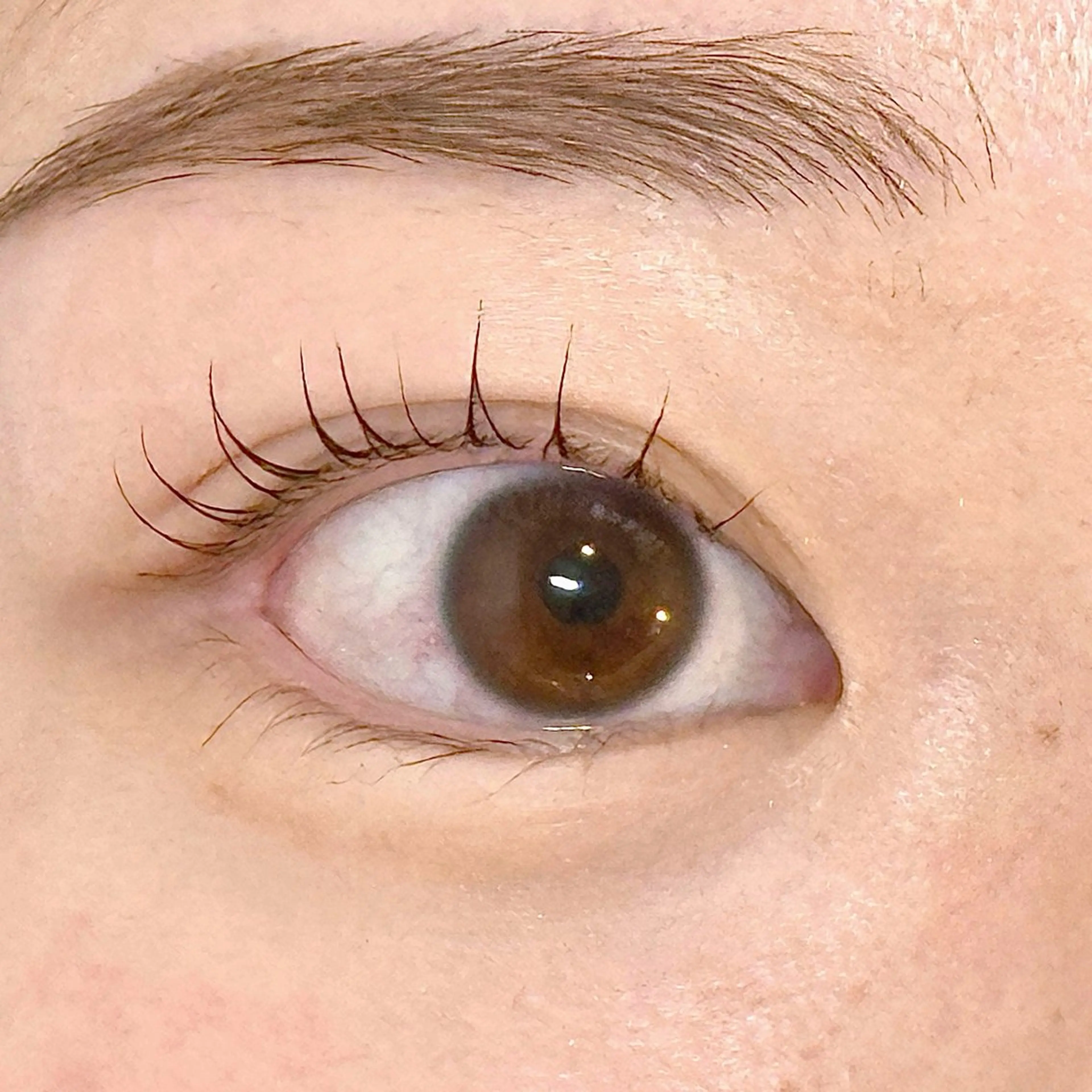 マツエク・マツパ nowe luxe所属・saki🪿🌙 まつげパーマのマツエク・マツパデザイン