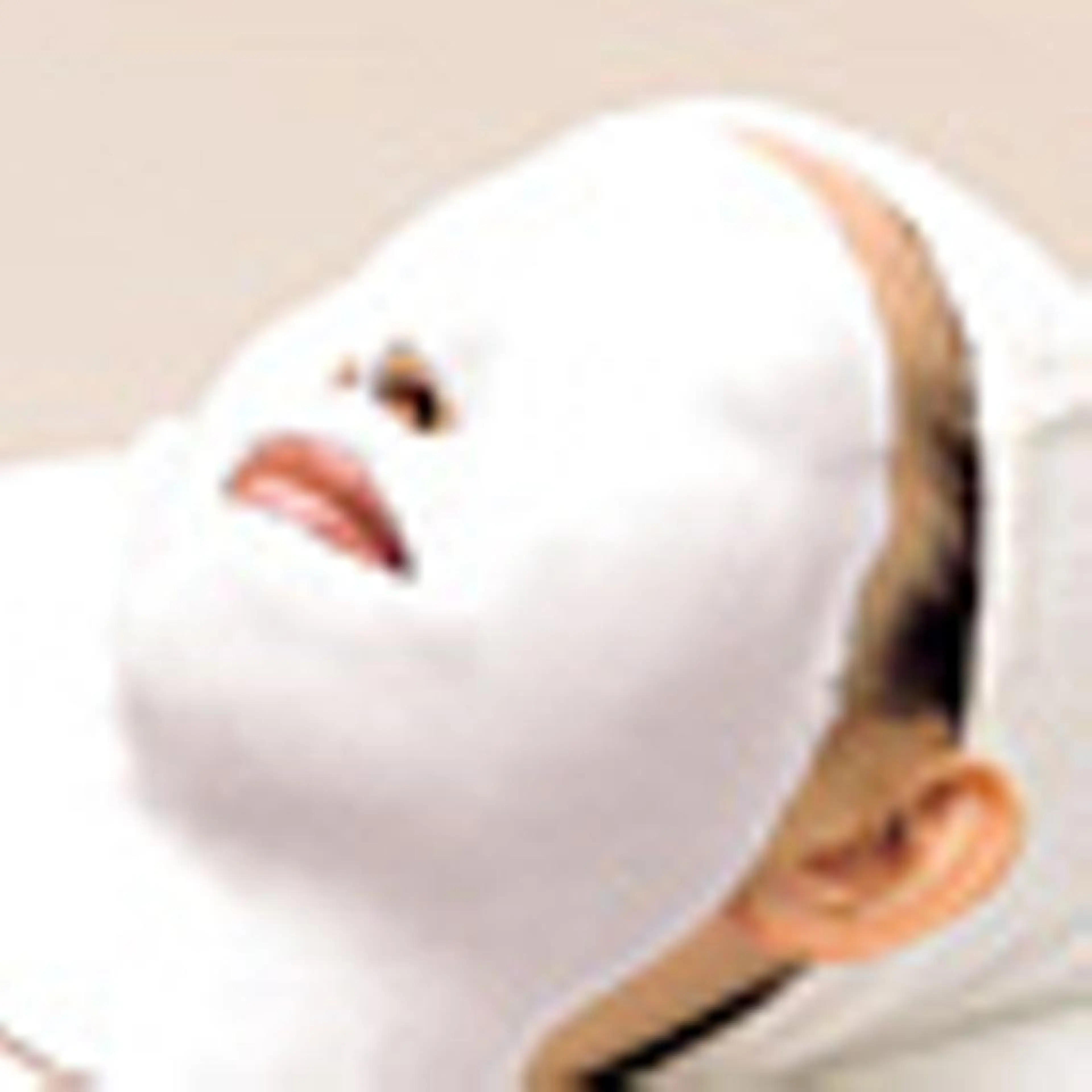 メナードフェイシャルサロン天王寺駅東口代行店所属・メナード天王寺駅東口 稲冨恵美のエステ・リラクイメージ