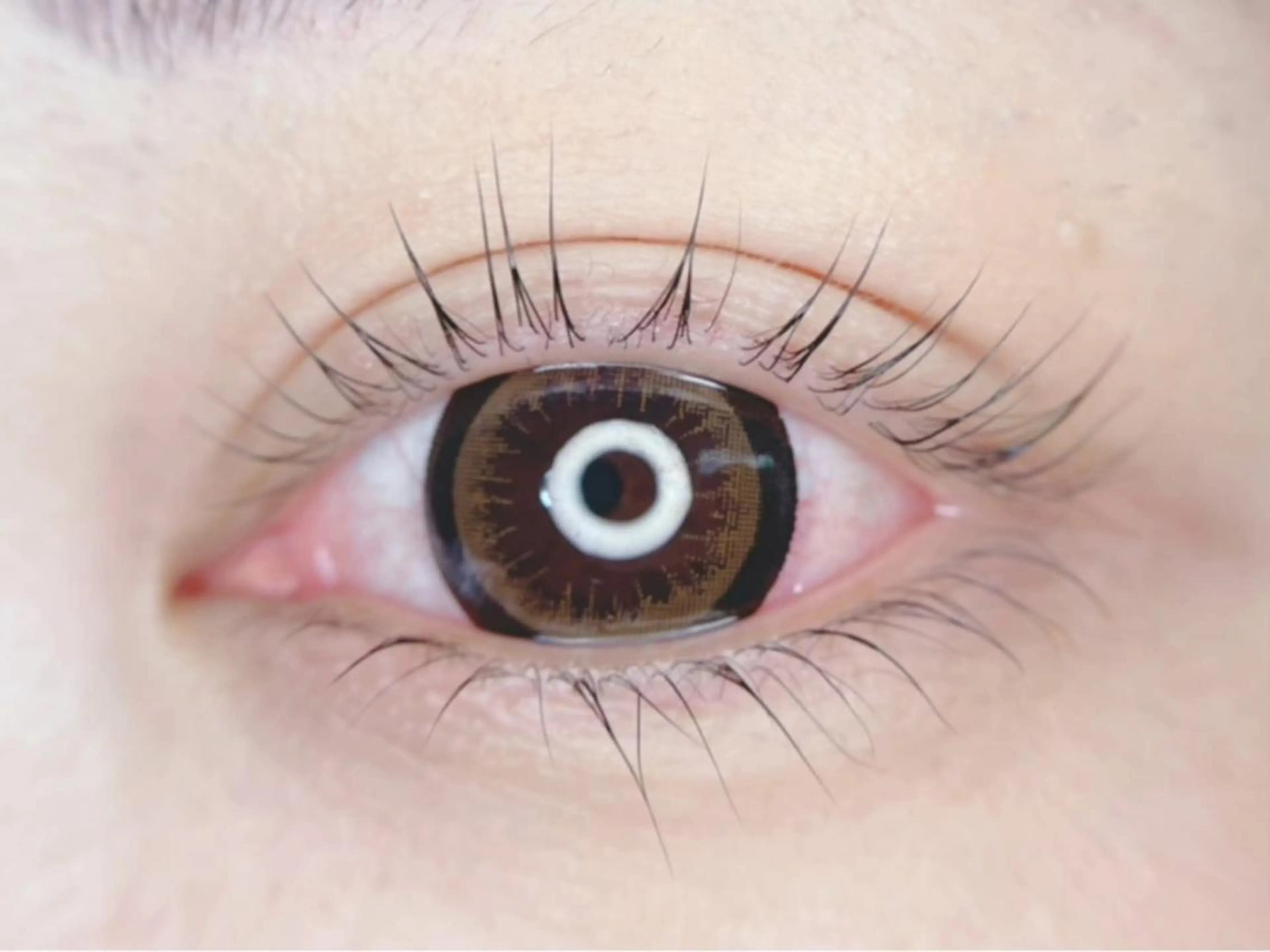 マツエク・マツパ 下まつげエクステ 一重×まつ毛パーマ eyelashsalon Romy所属・eyelash Romyのマツエク・マツパデザイン