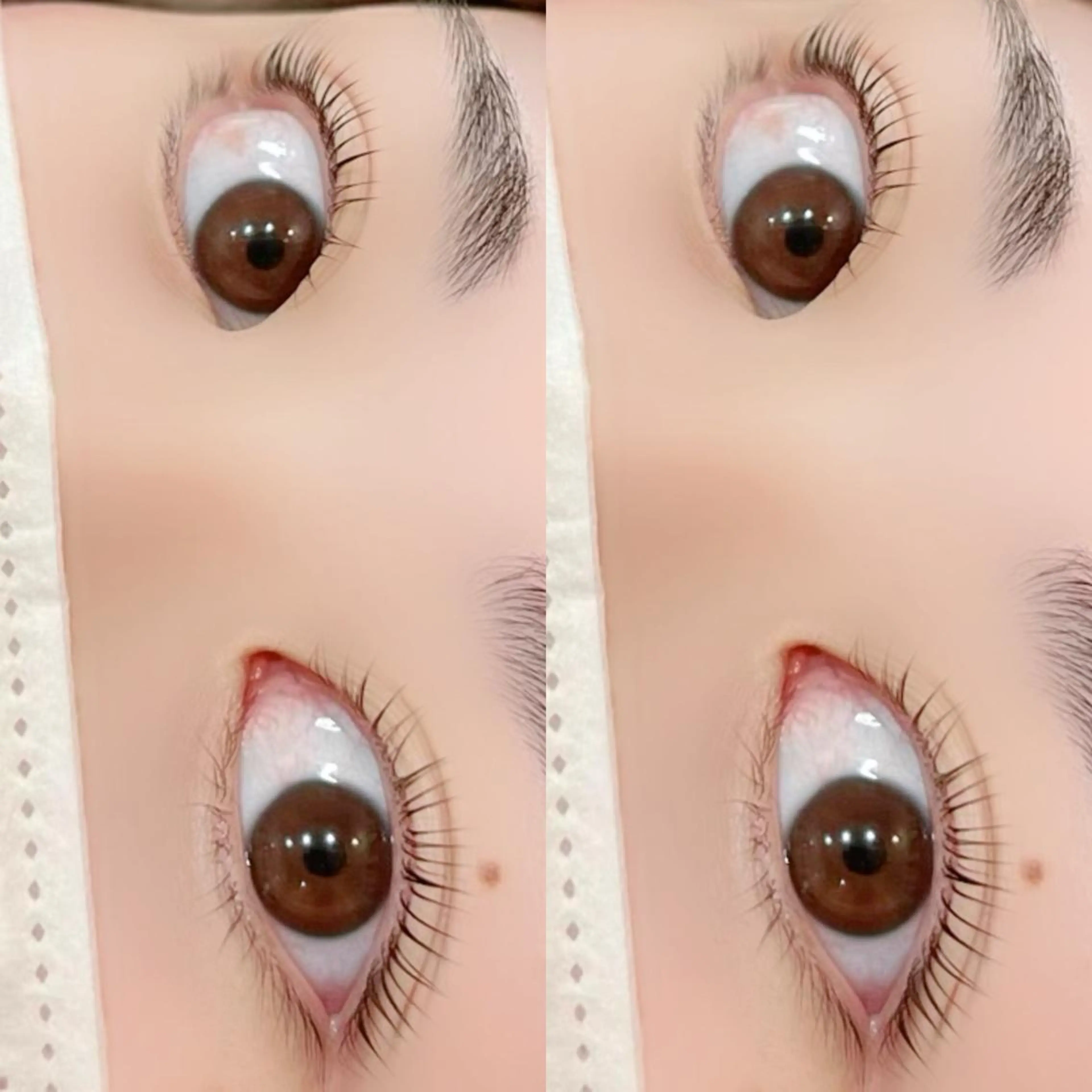 マツエク・マツパ パリジェンヌラッシュリフト 【myonsil】 Suzuki*のマツエク・マツパデザイン