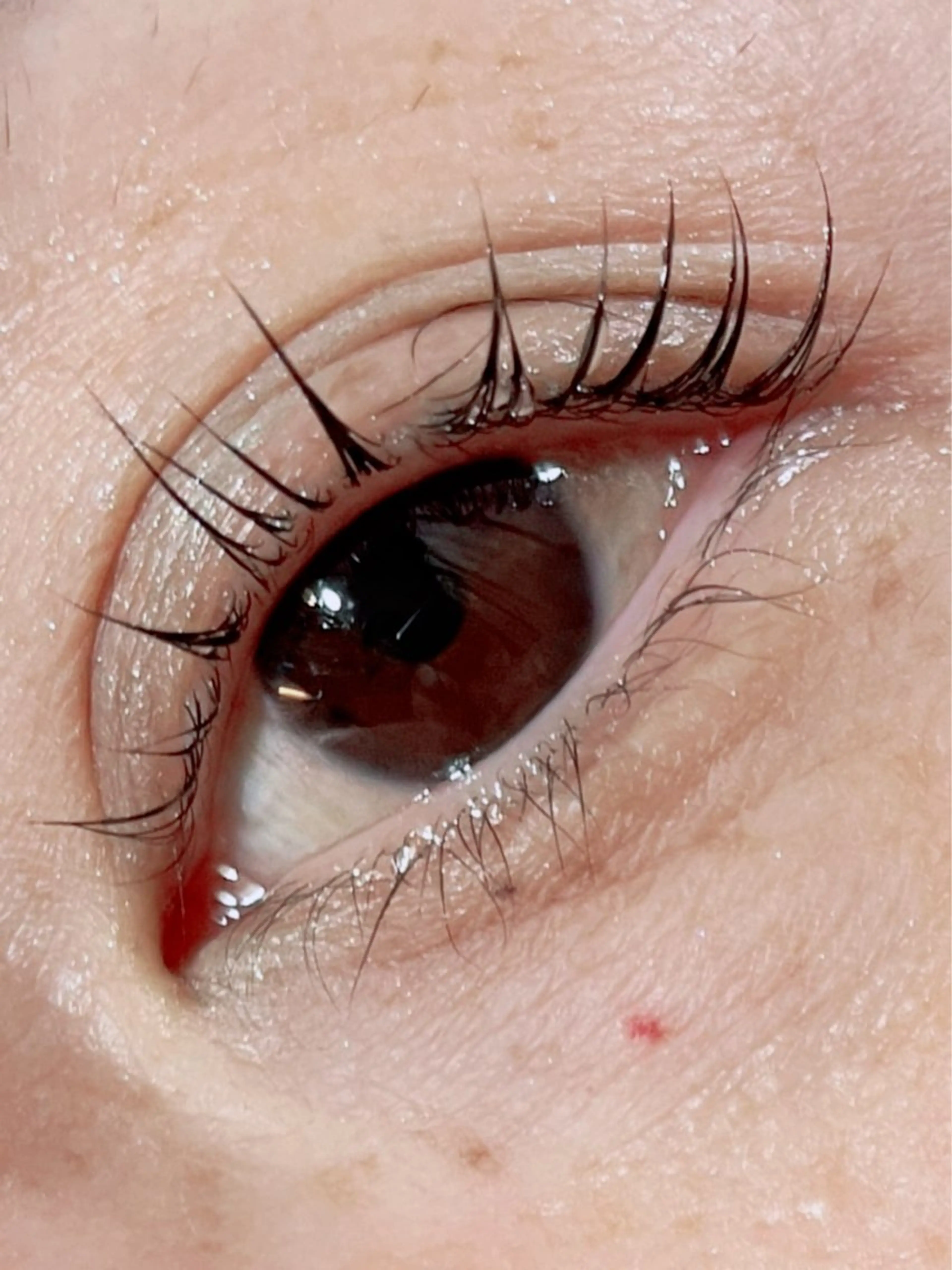 マツエク・マツパ Anjir(アンジール)所属・完全個室サロン Anjirのエステ・リラクイメージ