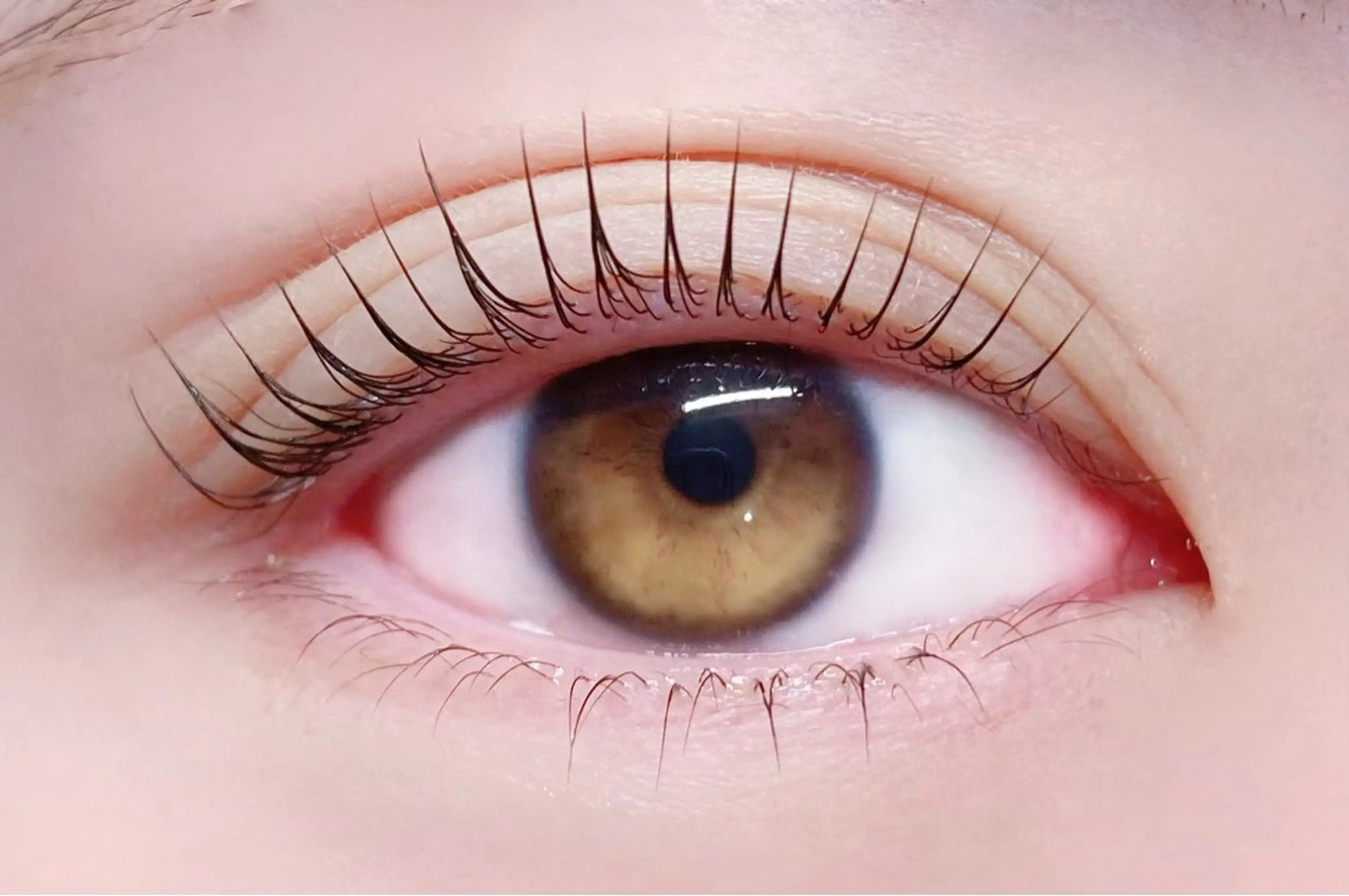 マツエク・マツパ Rairia nail&eyelash所属・Rairia CHIKAのマツエク・マツパデザイン