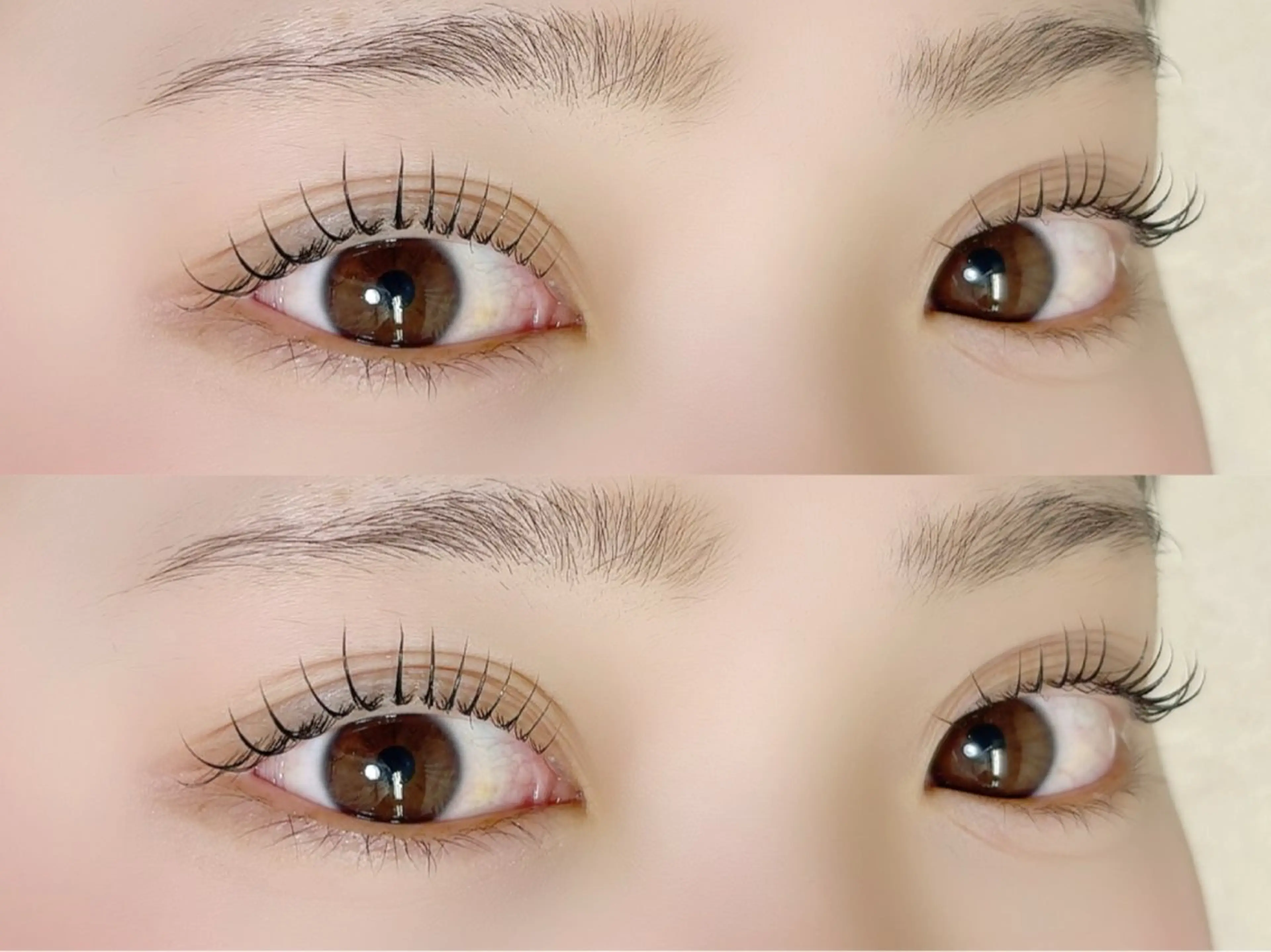 期間限定💖韓ドル風束感まつ毛パーマの写真